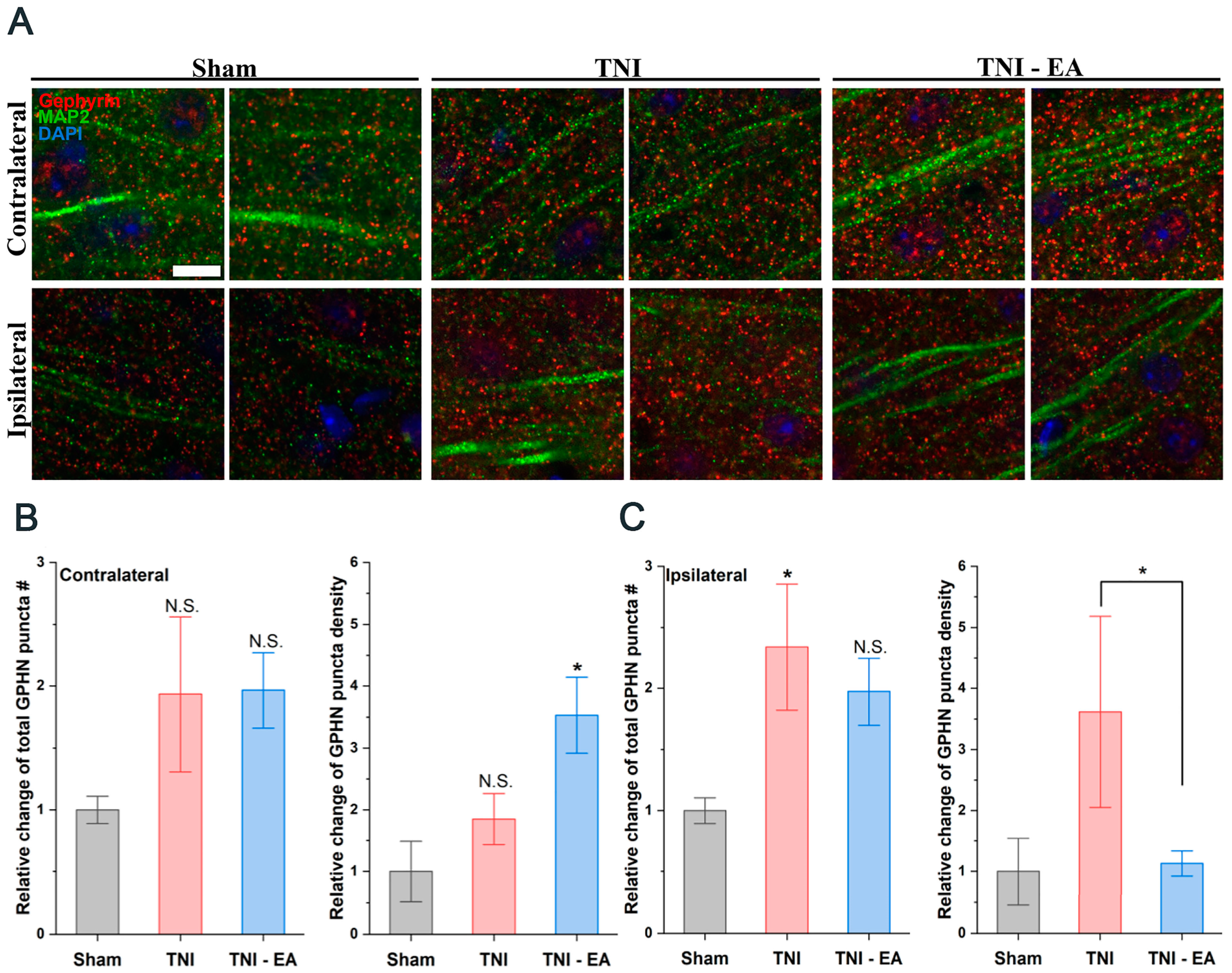 Biomedicines 11 01030 g005 Biomedicines 11 01030 g005