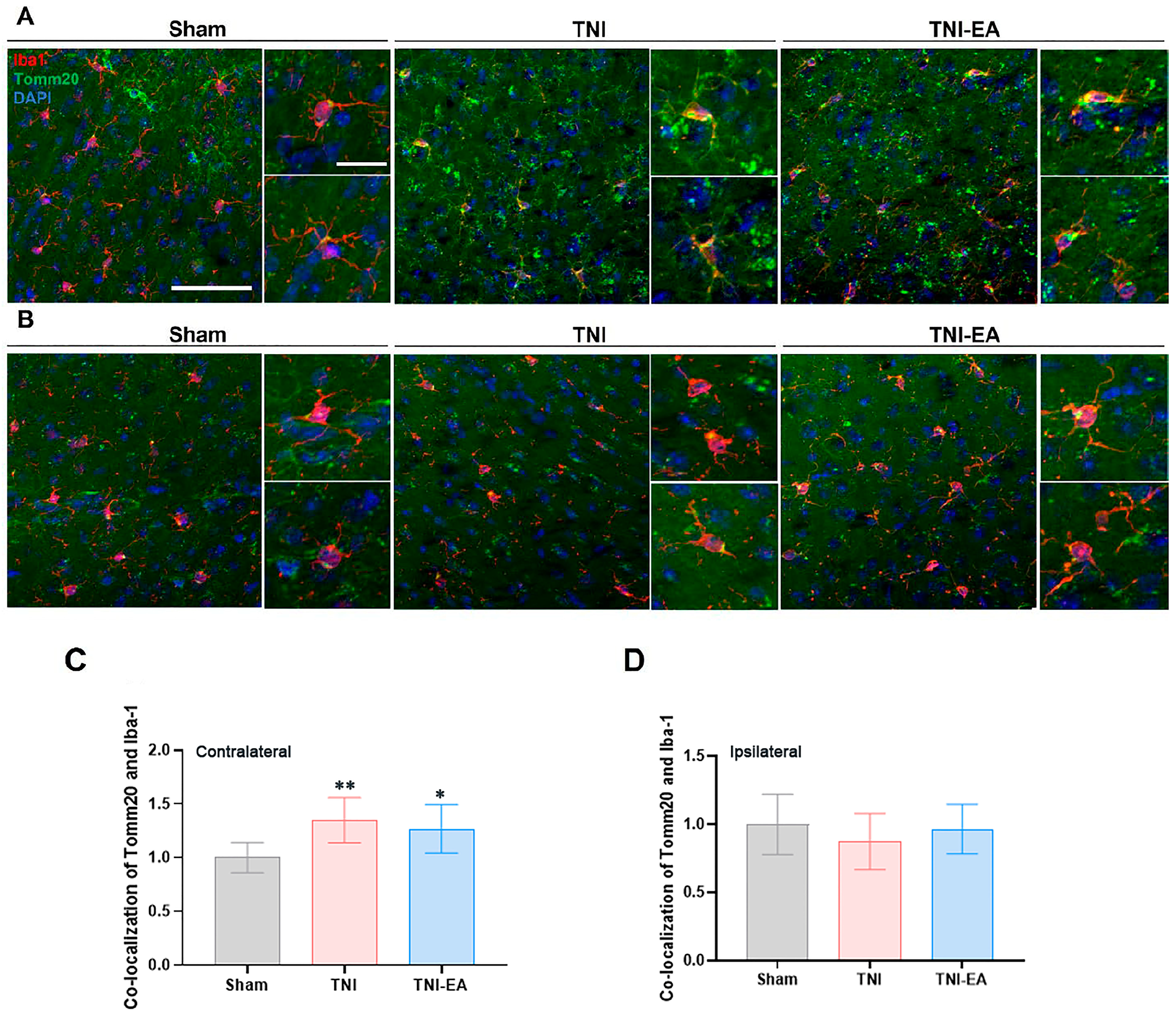 Biomedicines 11 01030 g007 Biomedicines 11 01030 g007