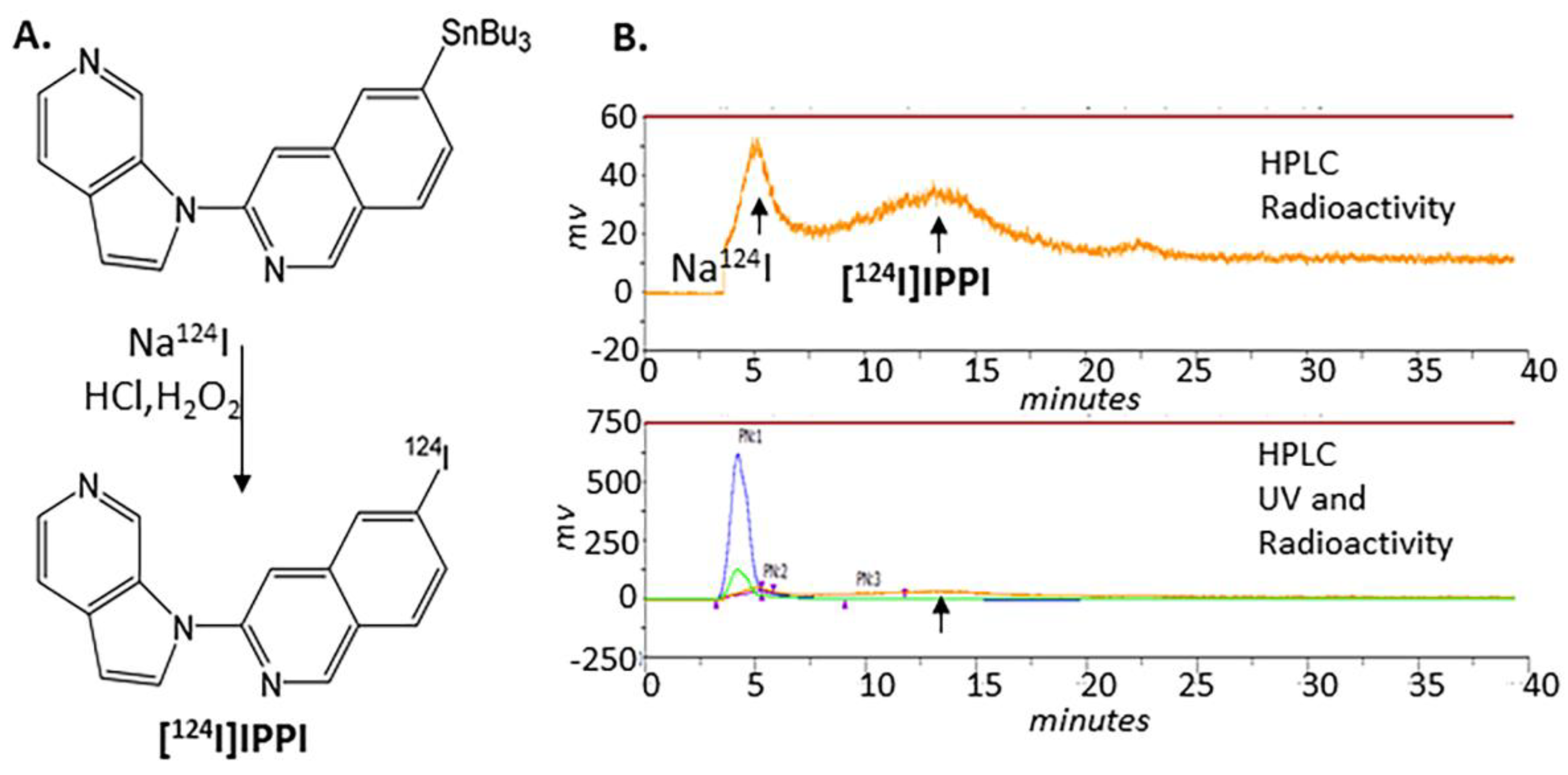 Biomedicines 11 01033 g002 Biomedicines 11 01033 g002