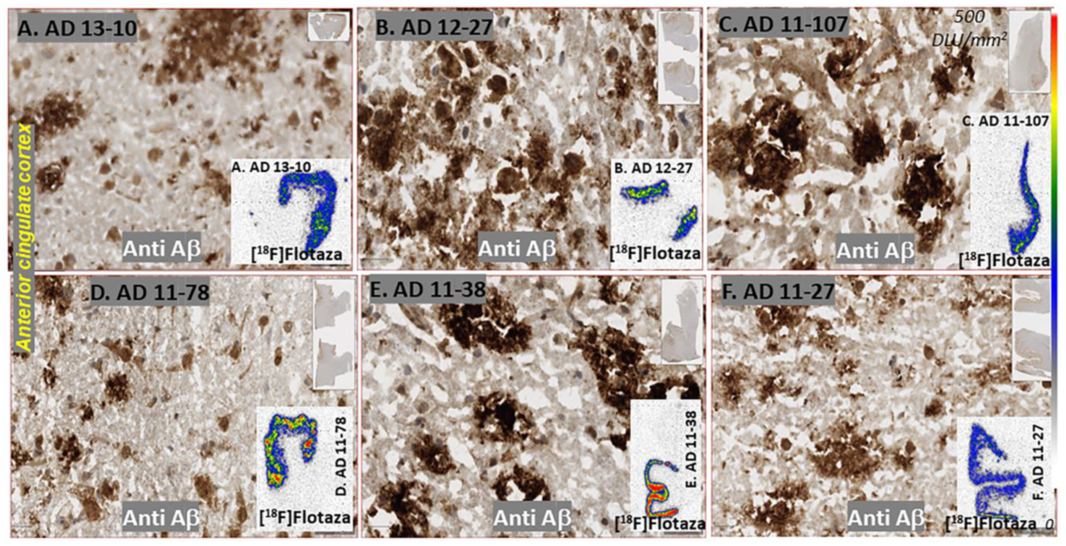 Biomedicines 11 01033 g006 Biomedicines 11 01033 g006