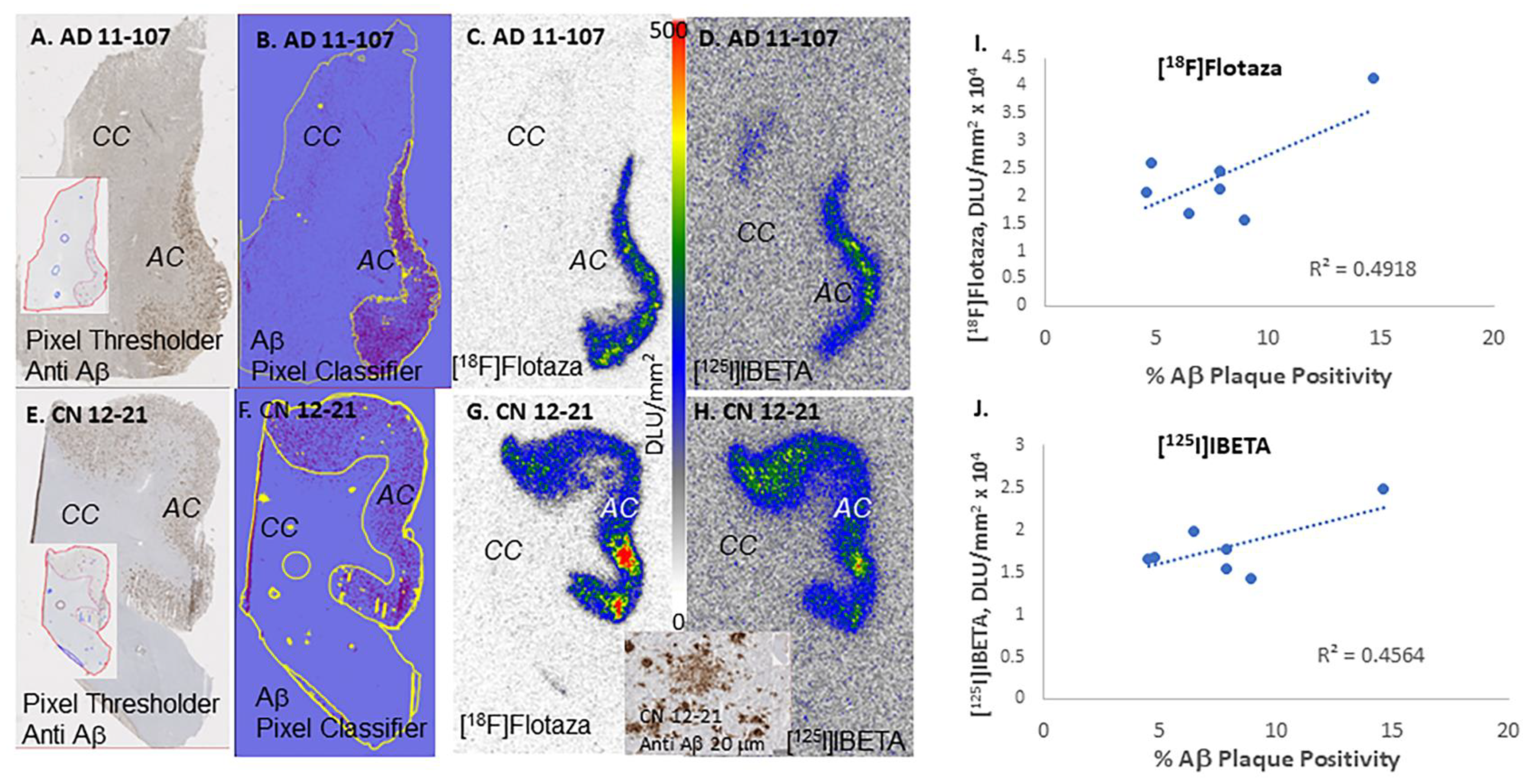 Biomedicines 11 01033 g007 Biomedicines 11 01033 g007