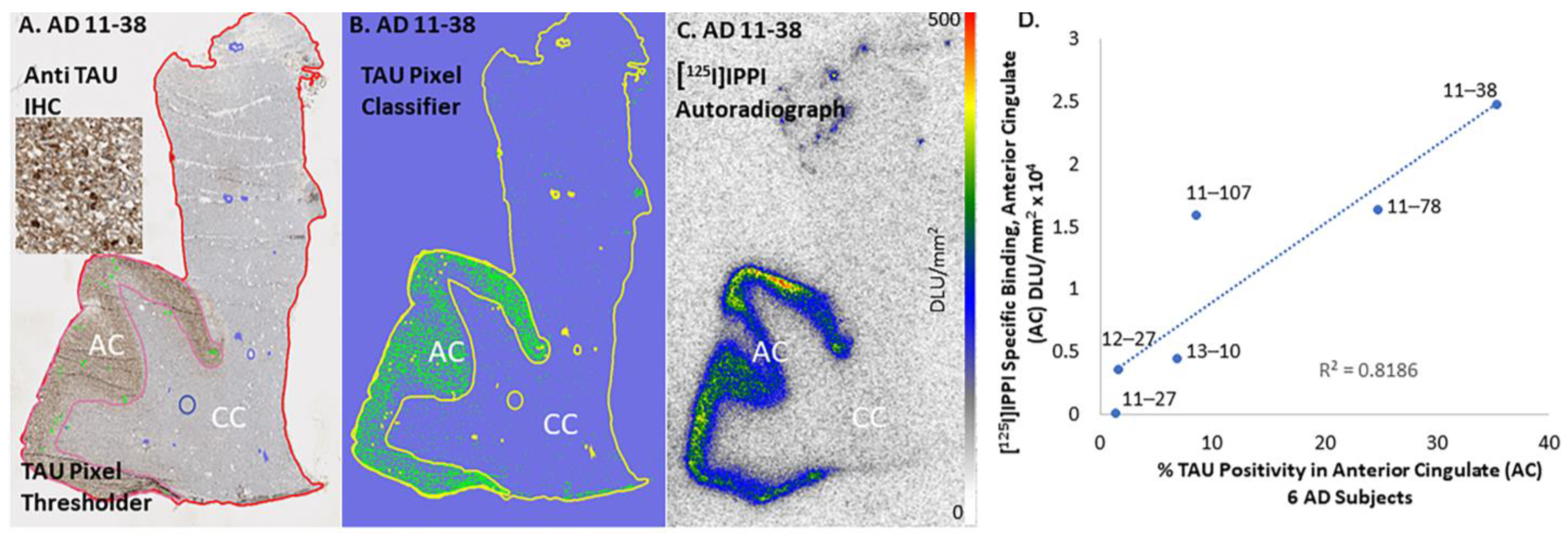 Biomedicines 11 01033 g009 Biomedicines 11 01033 g009