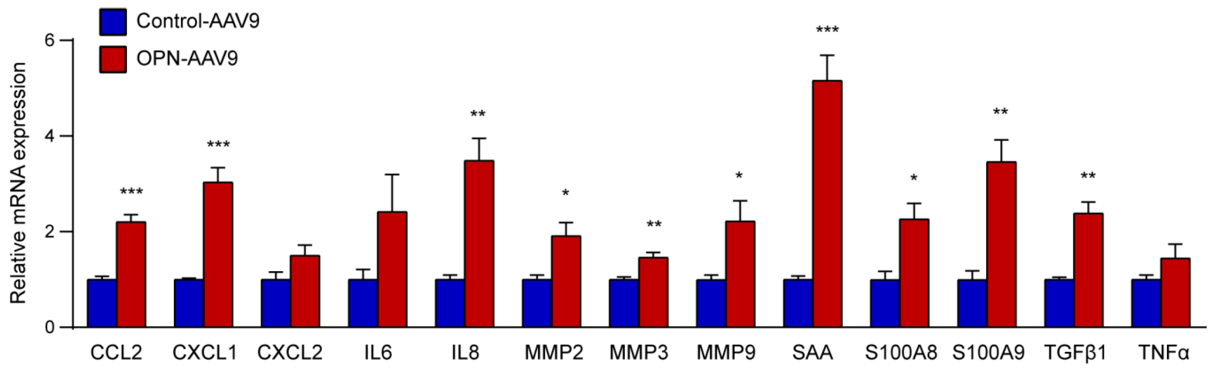 Biomedicines 11 01038 g003 Biomedicines 11 01038 g003
