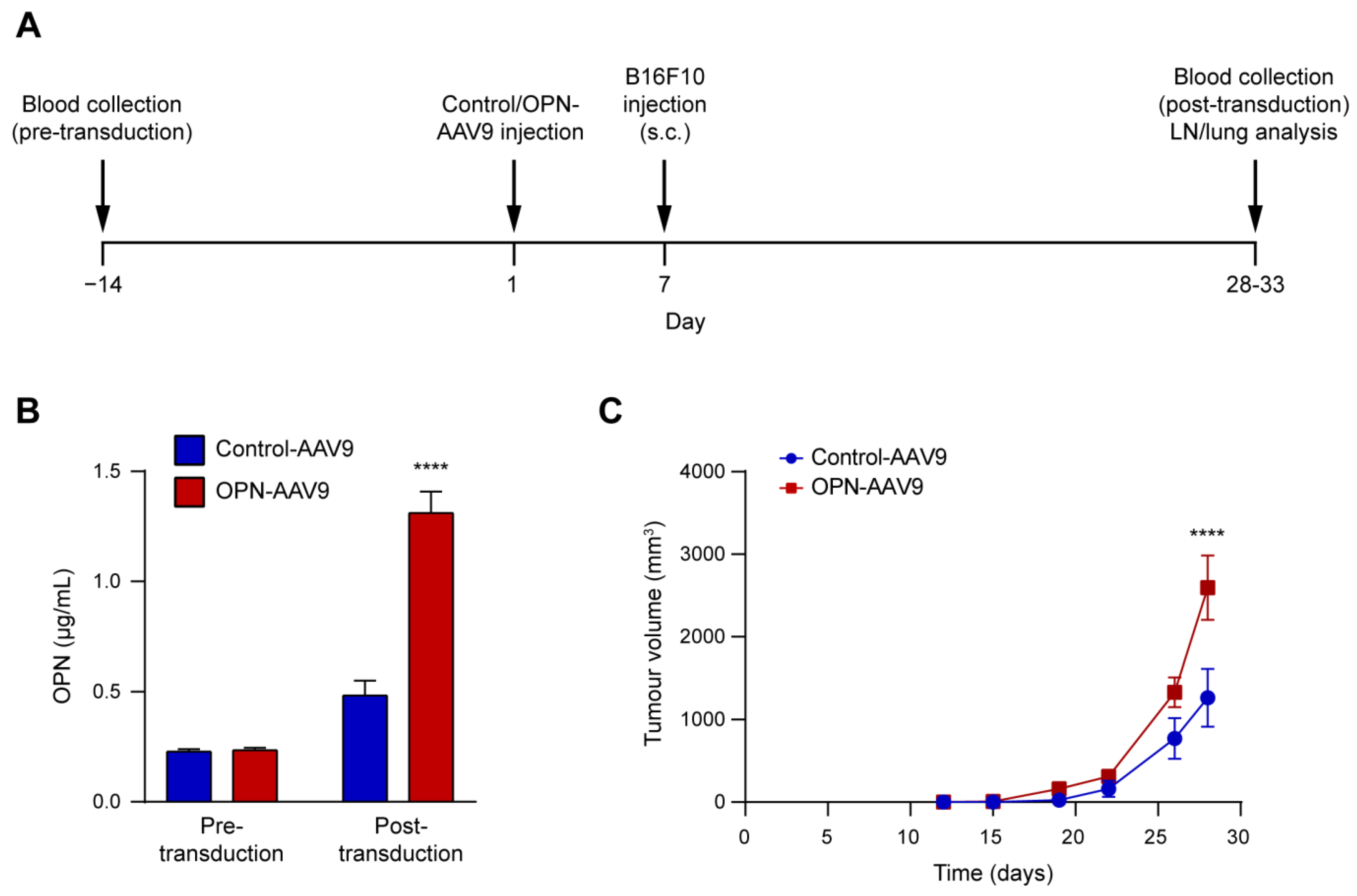Biomedicines 11 01038 g004 Biomedicines 11 01038 g004