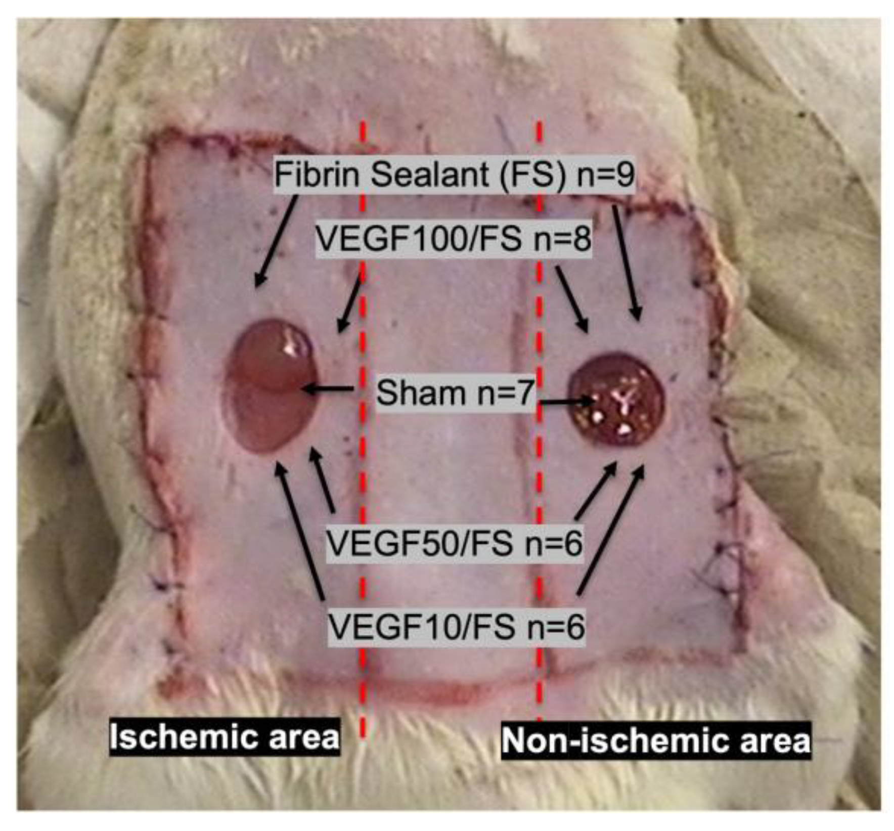 Biomedicines 11 01043 g001 Biomedicines 11 01043 g001