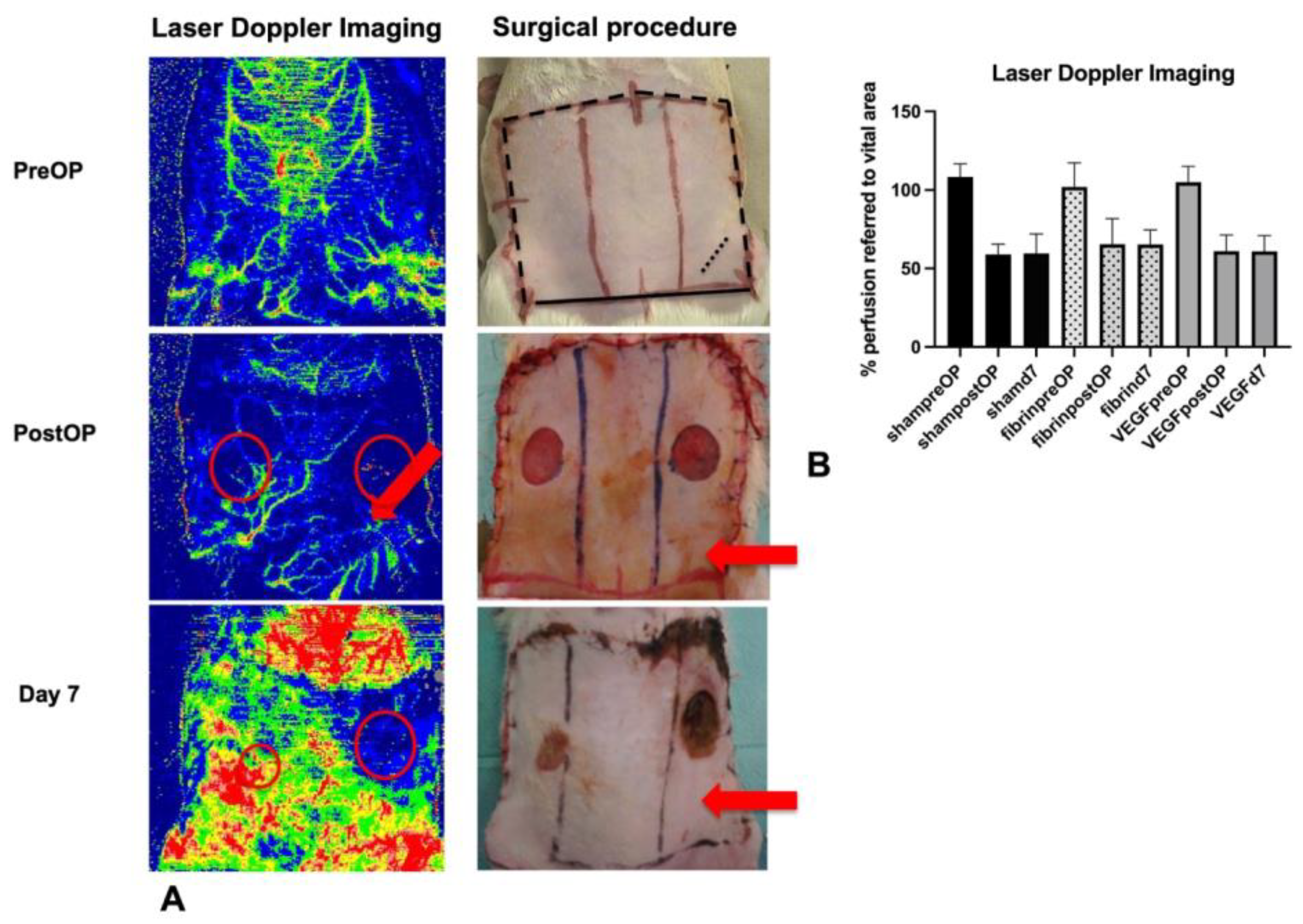 Biomedicines 11 01043 g002 Biomedicines 11 01043 g002