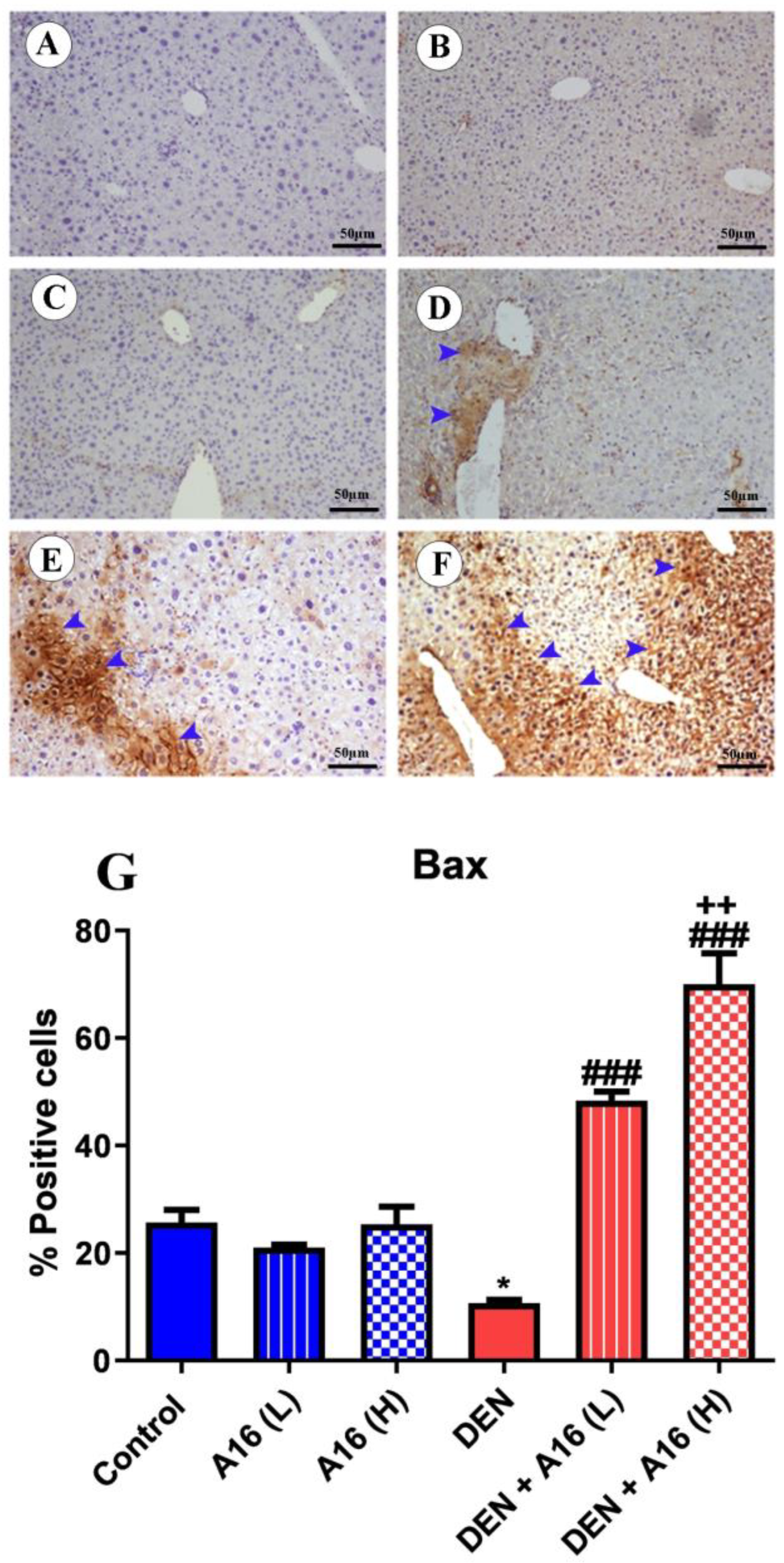 Biomedicines 11 01054 g008 Biomedicines 11 01054 g008