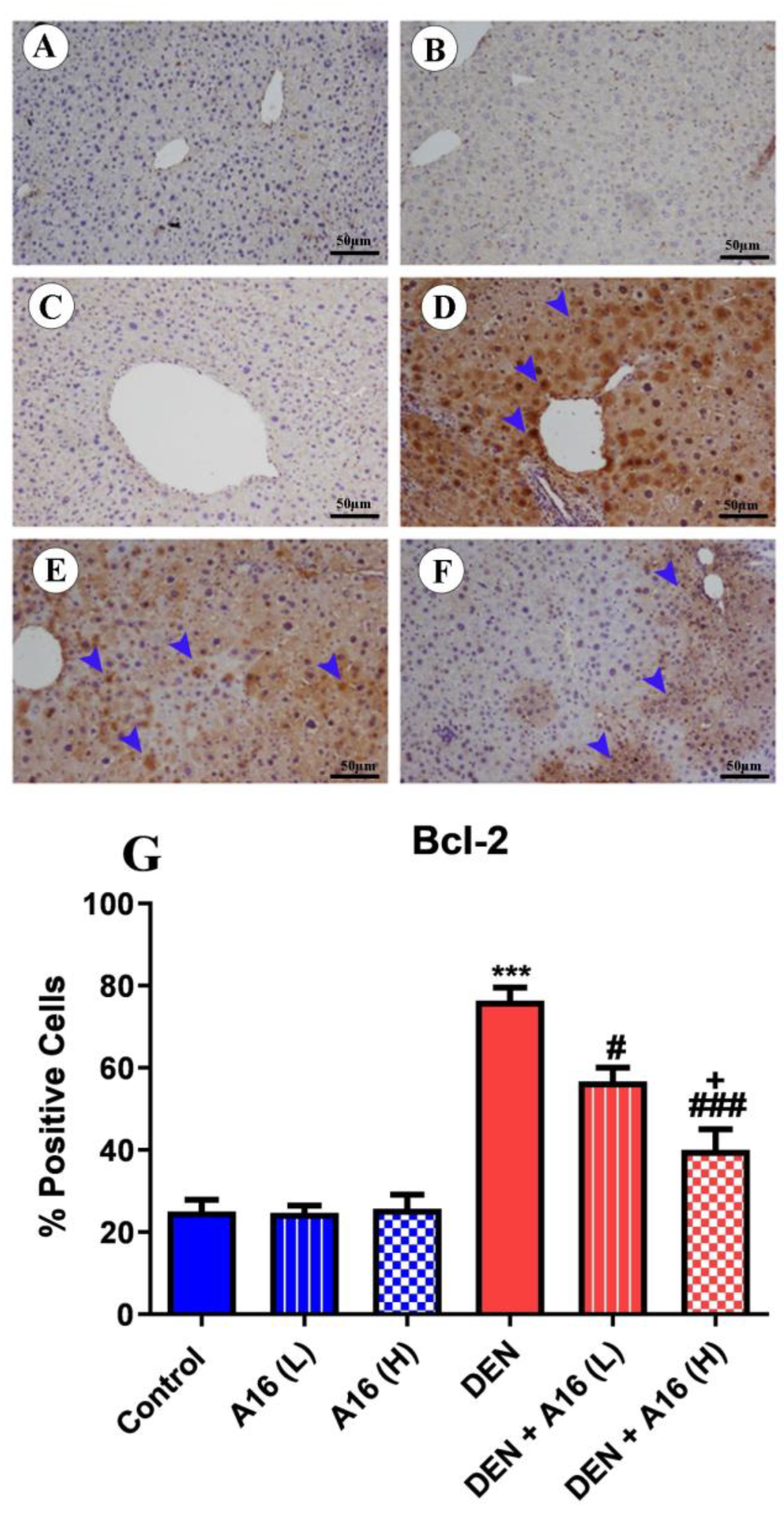 Biomedicines 11 01054 g009 Biomedicines 11 01054 g009