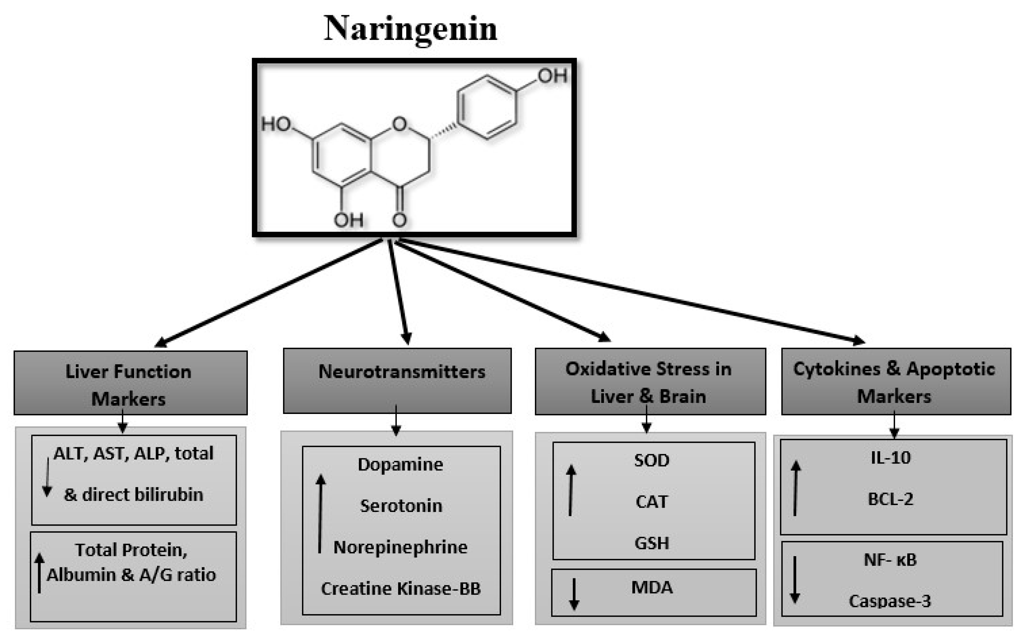 Biomedicines 11 01080 g012