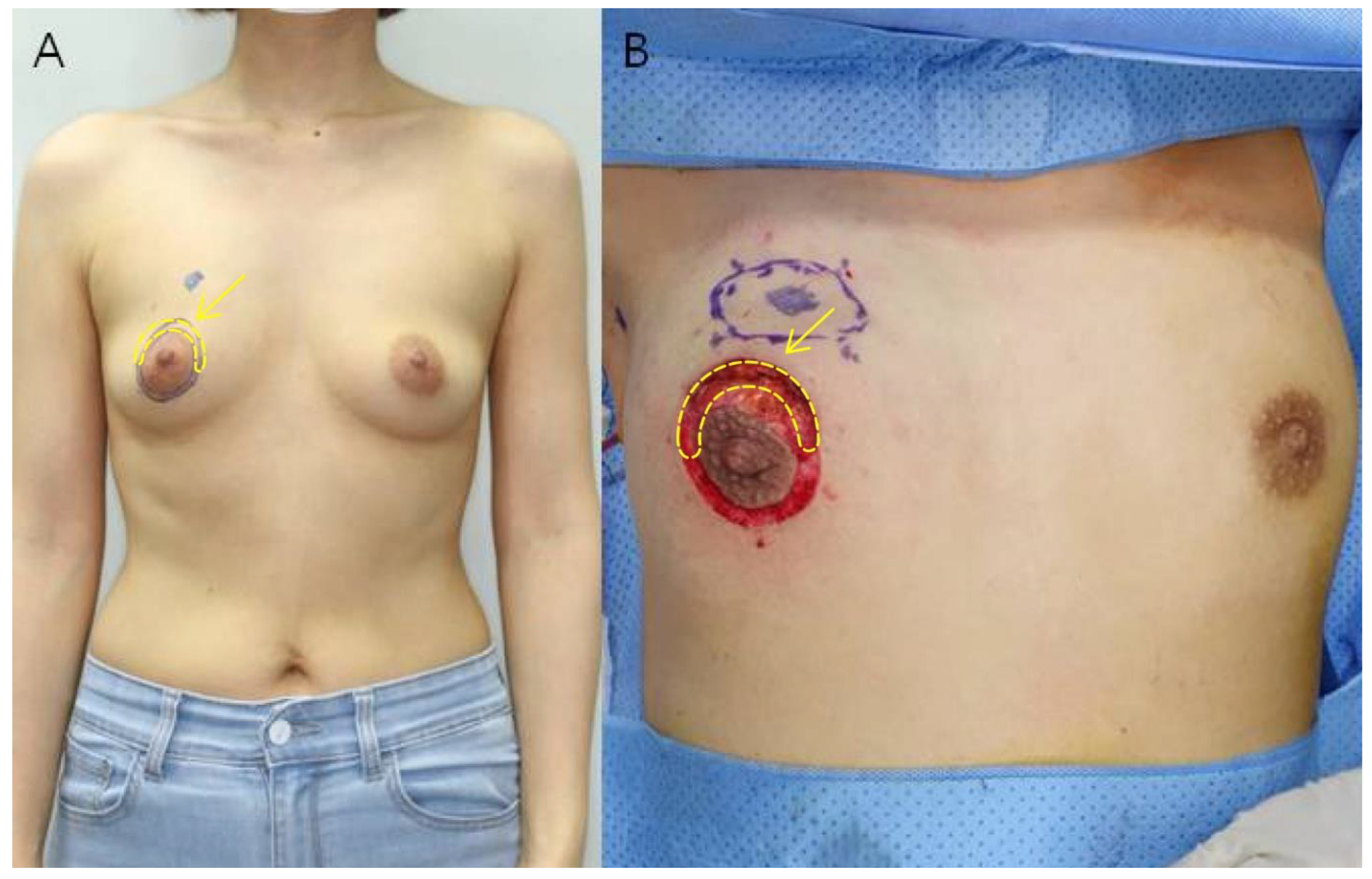 Biomedicines 11 01089 g001