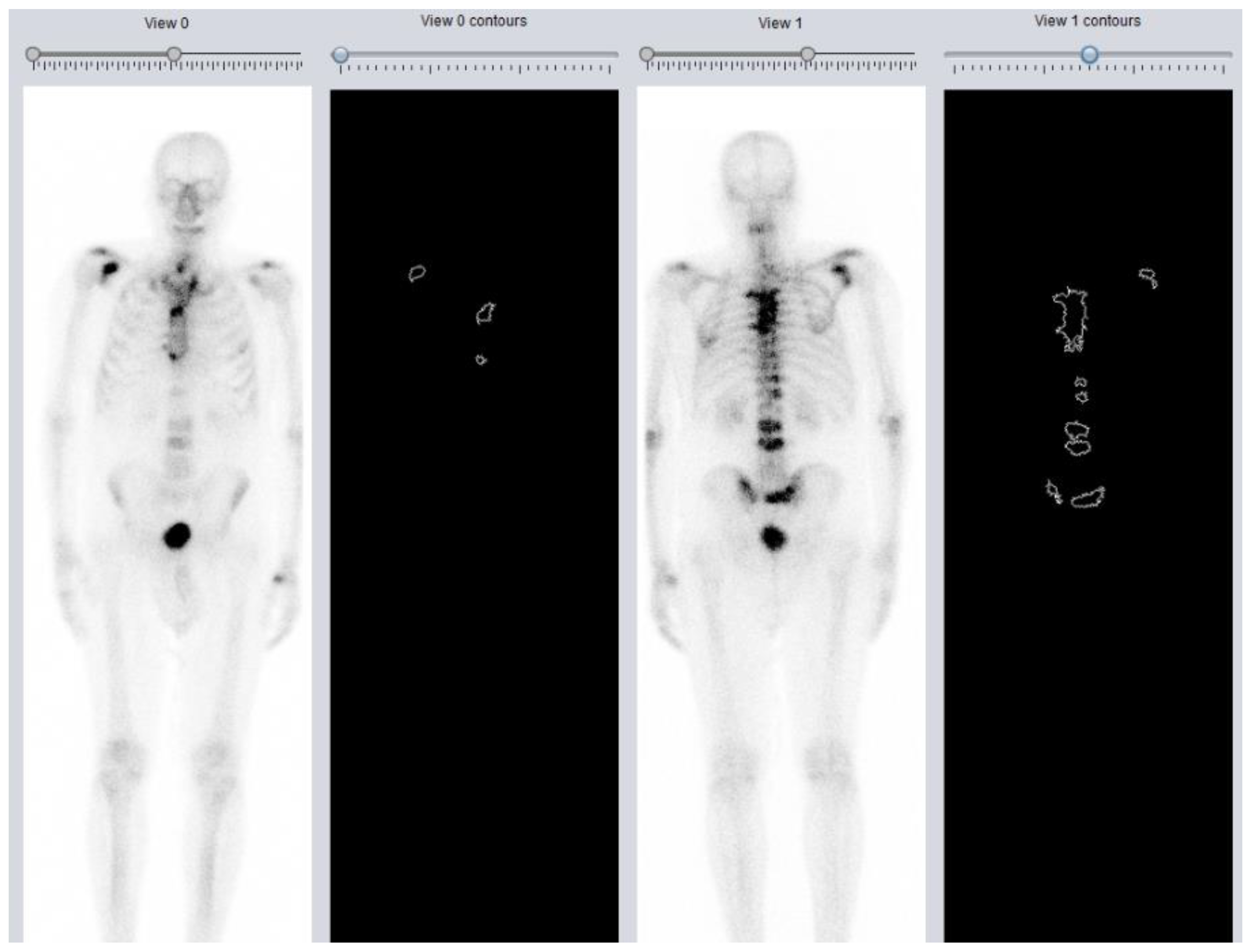 Biomedicines 11 01103 g001 Biomedicines 11 01103 g001