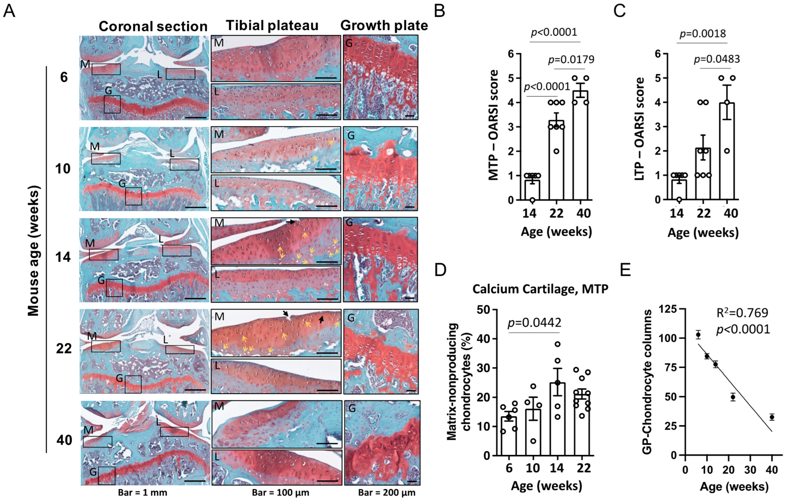 Biomedicines 11 01111 g001 Biomedicines 11 01111 g001