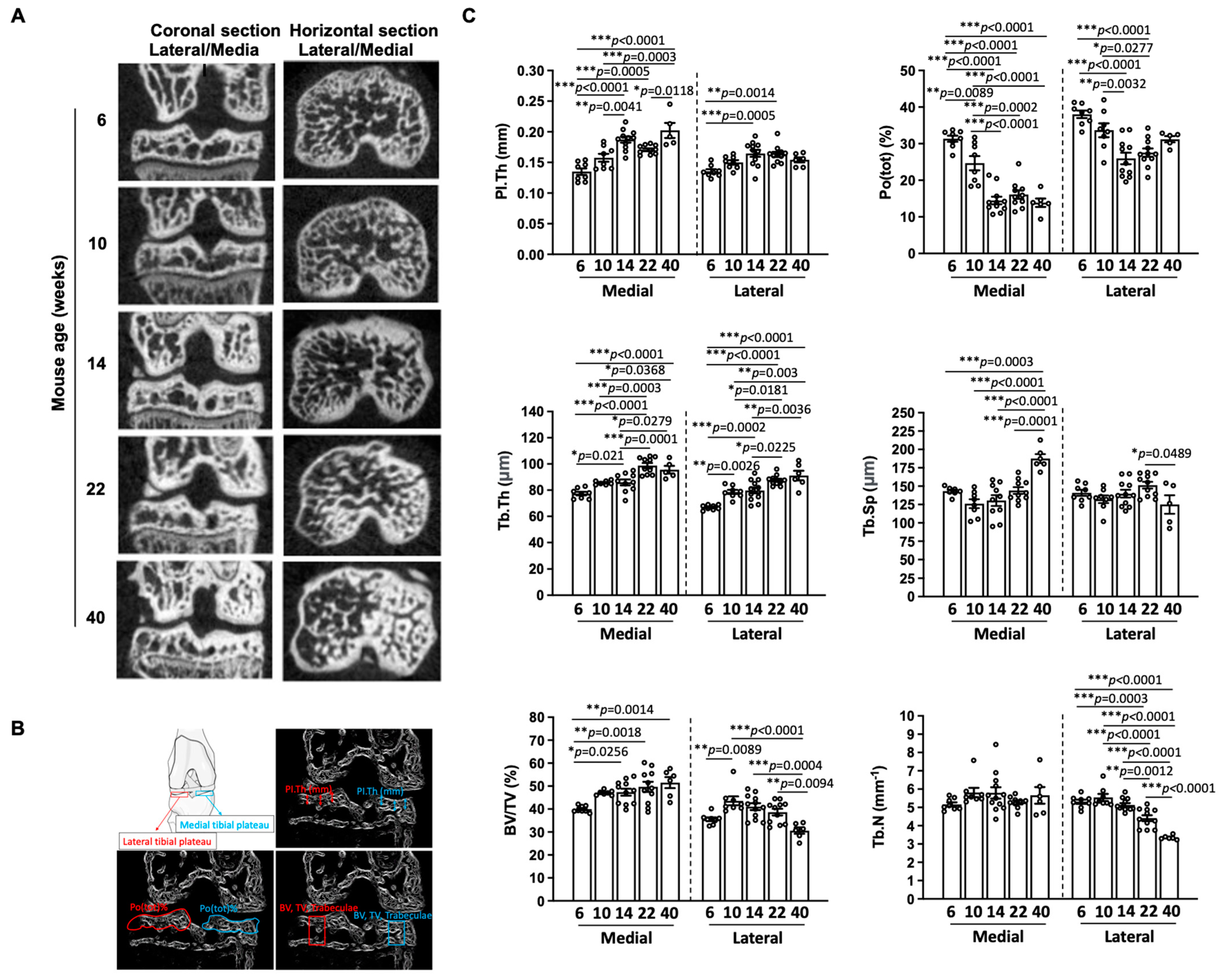 Biomedicines 11 01111 g003 Biomedicines 11 01111 g003
