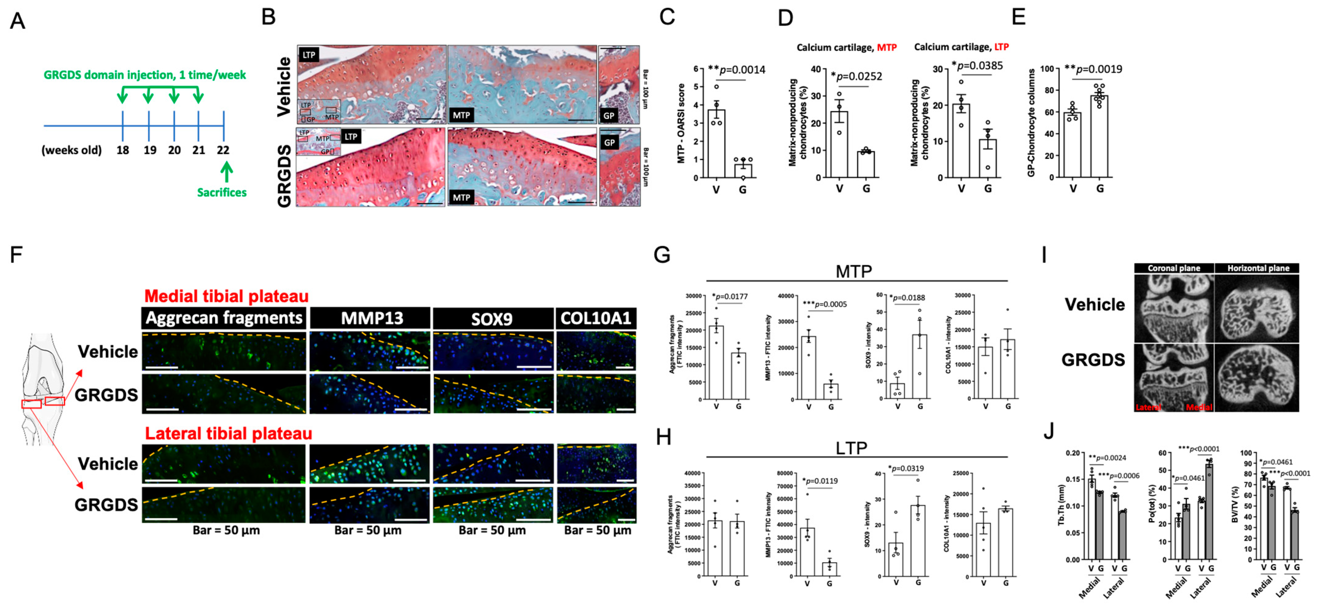 Biomedicines 11 01111 g004 Biomedicines 11 01111 g004