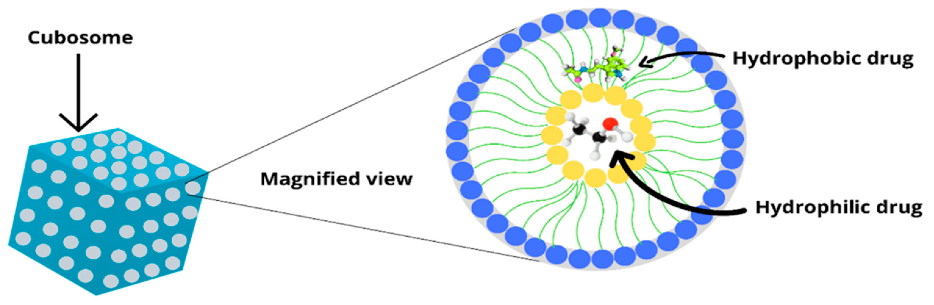 Biomedicines 11 01114 g001 Biomedicines 11 01114 g001