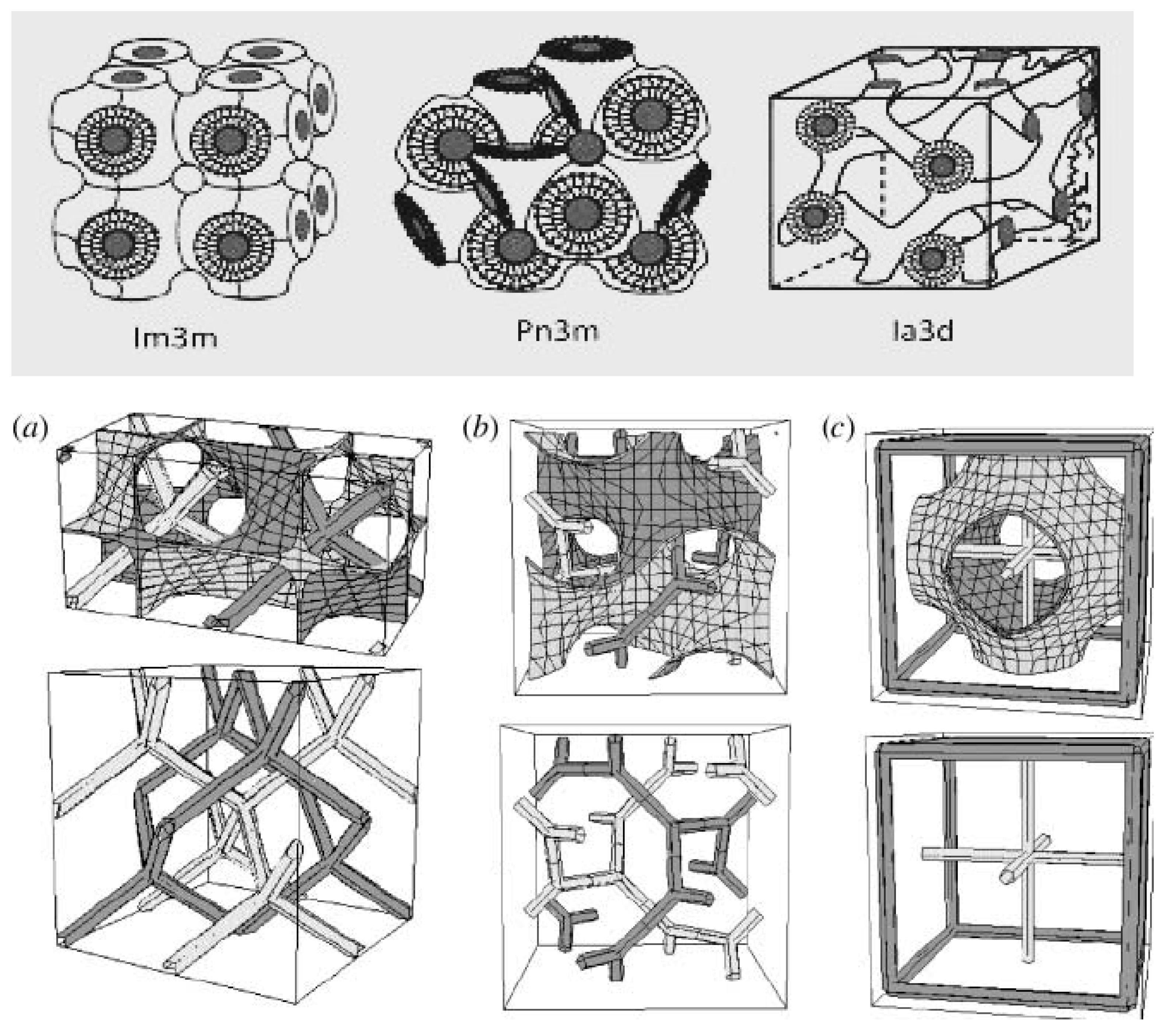 Biomedicines 11 01114 g002 Biomedicines 11 01114 g002