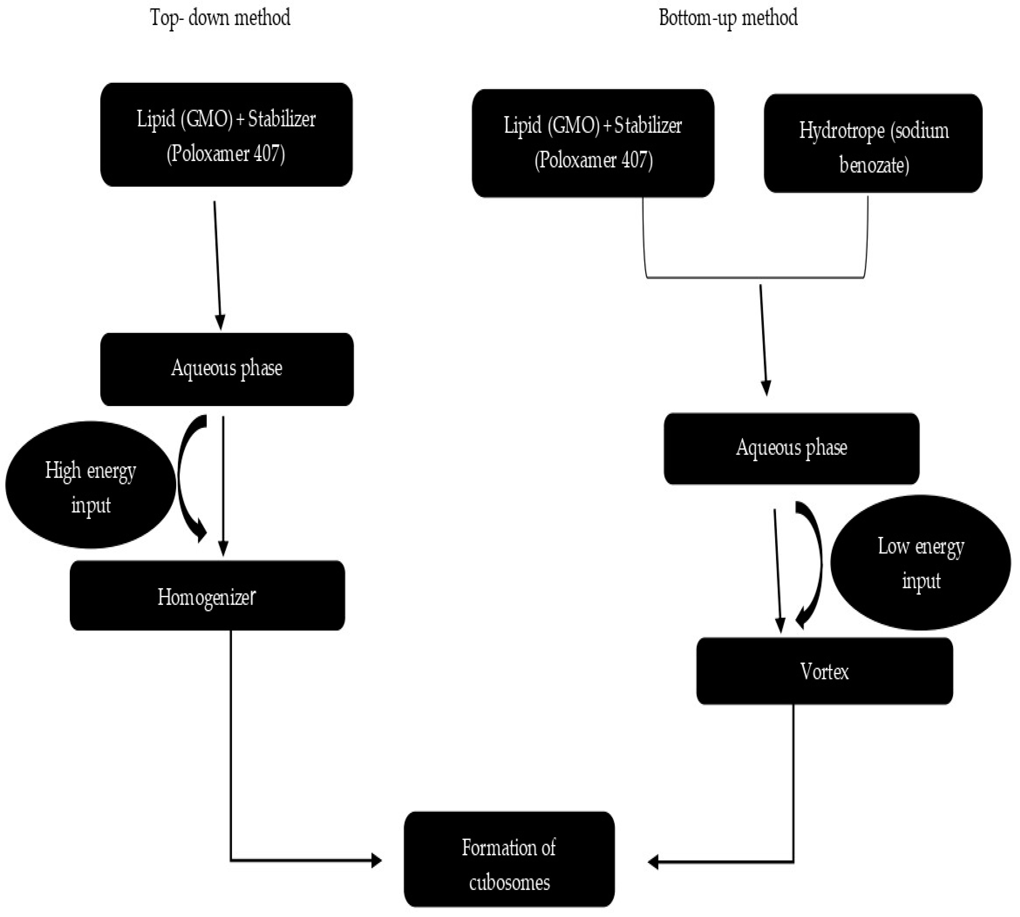 Biomedicines 11 01114 g005 Biomedicines 11 01114 g005