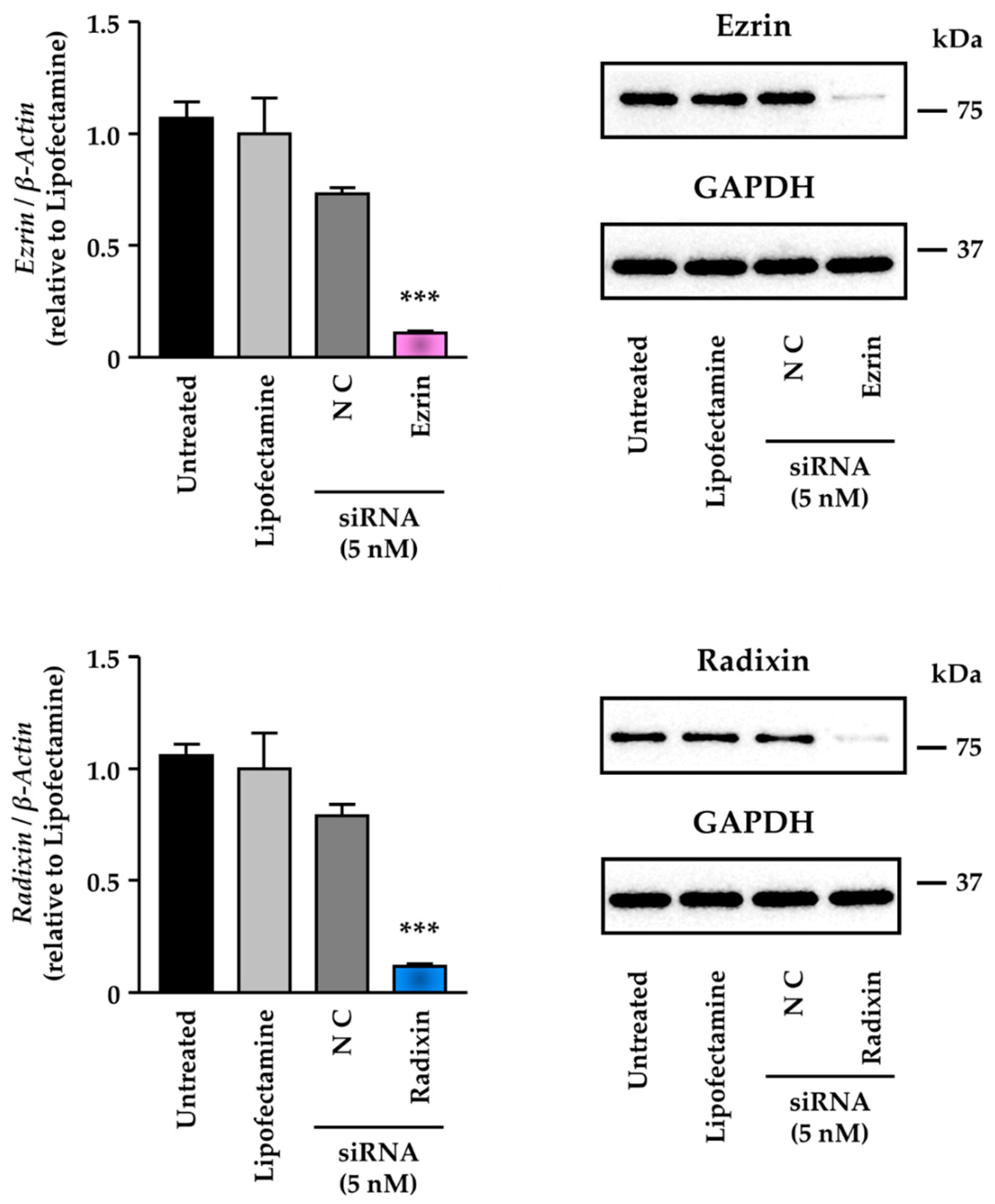 Biomedicines 11 01117 g003