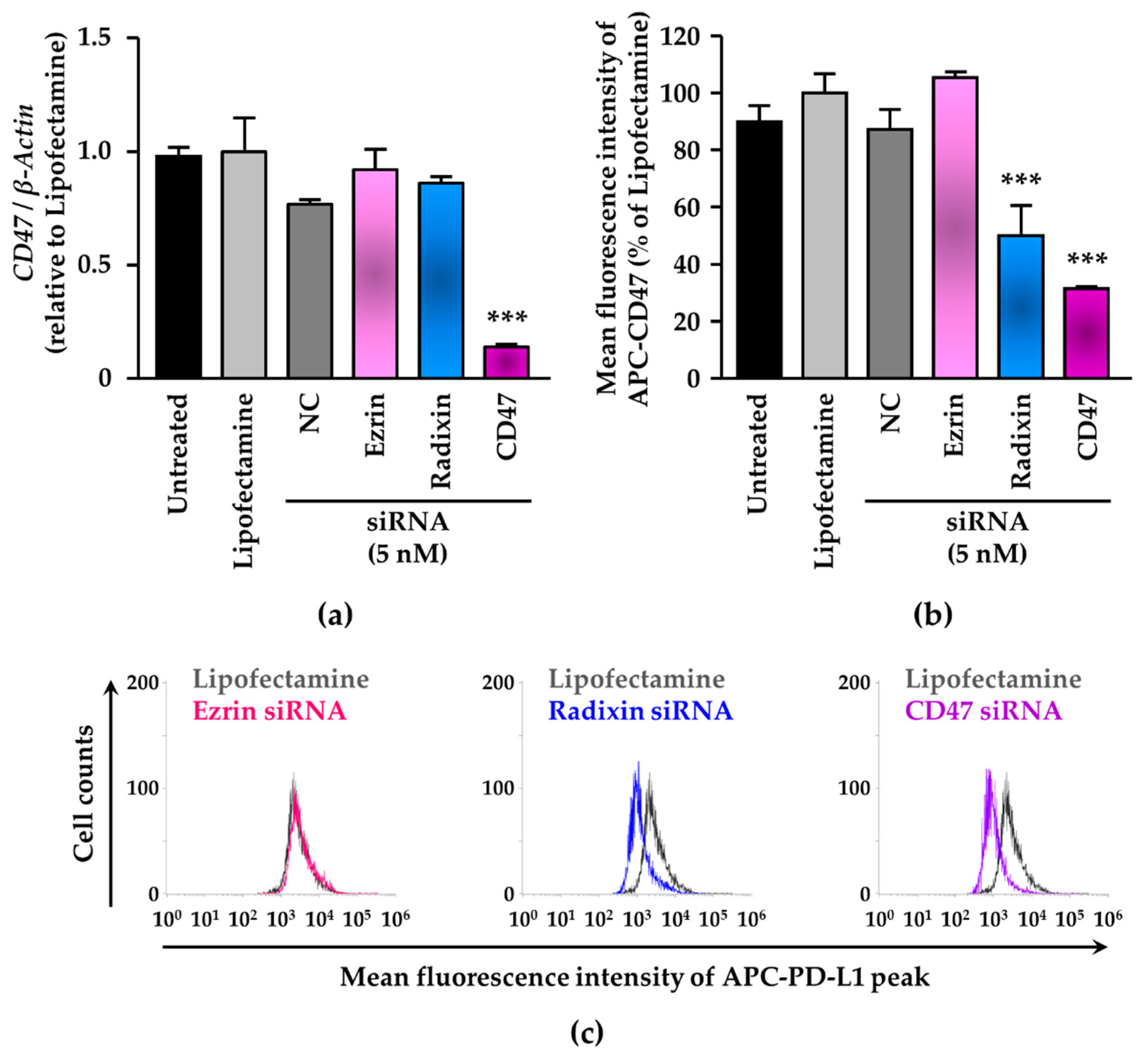 Biomedicines 11 01117 g004