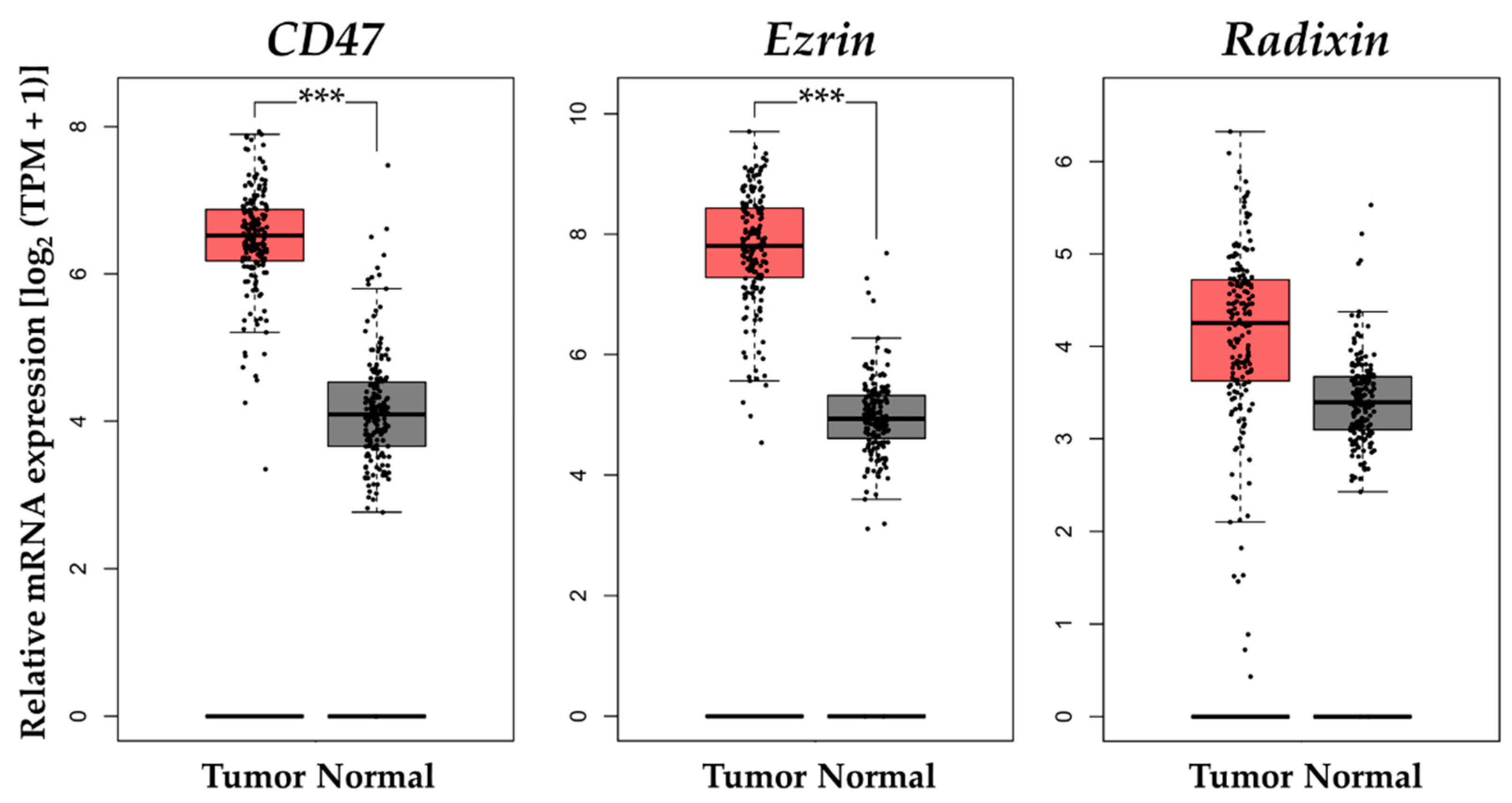 Biomedicines 11 01117 g006