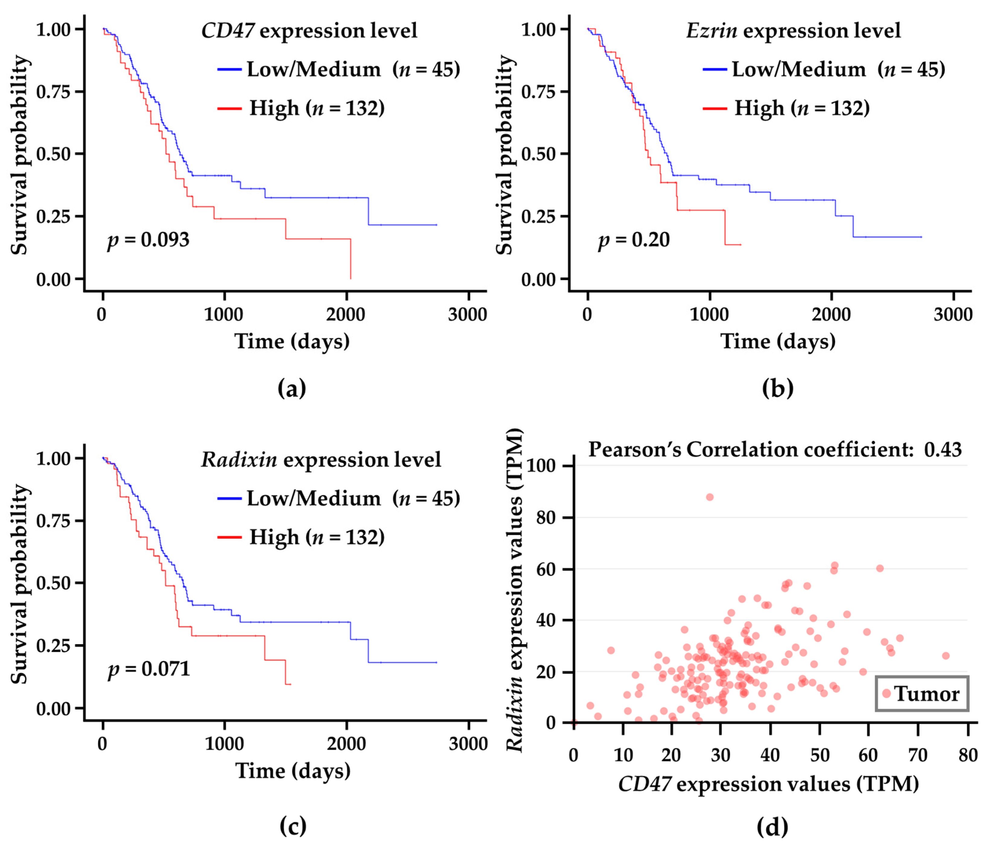 Biomedicines 11 01117 g007
