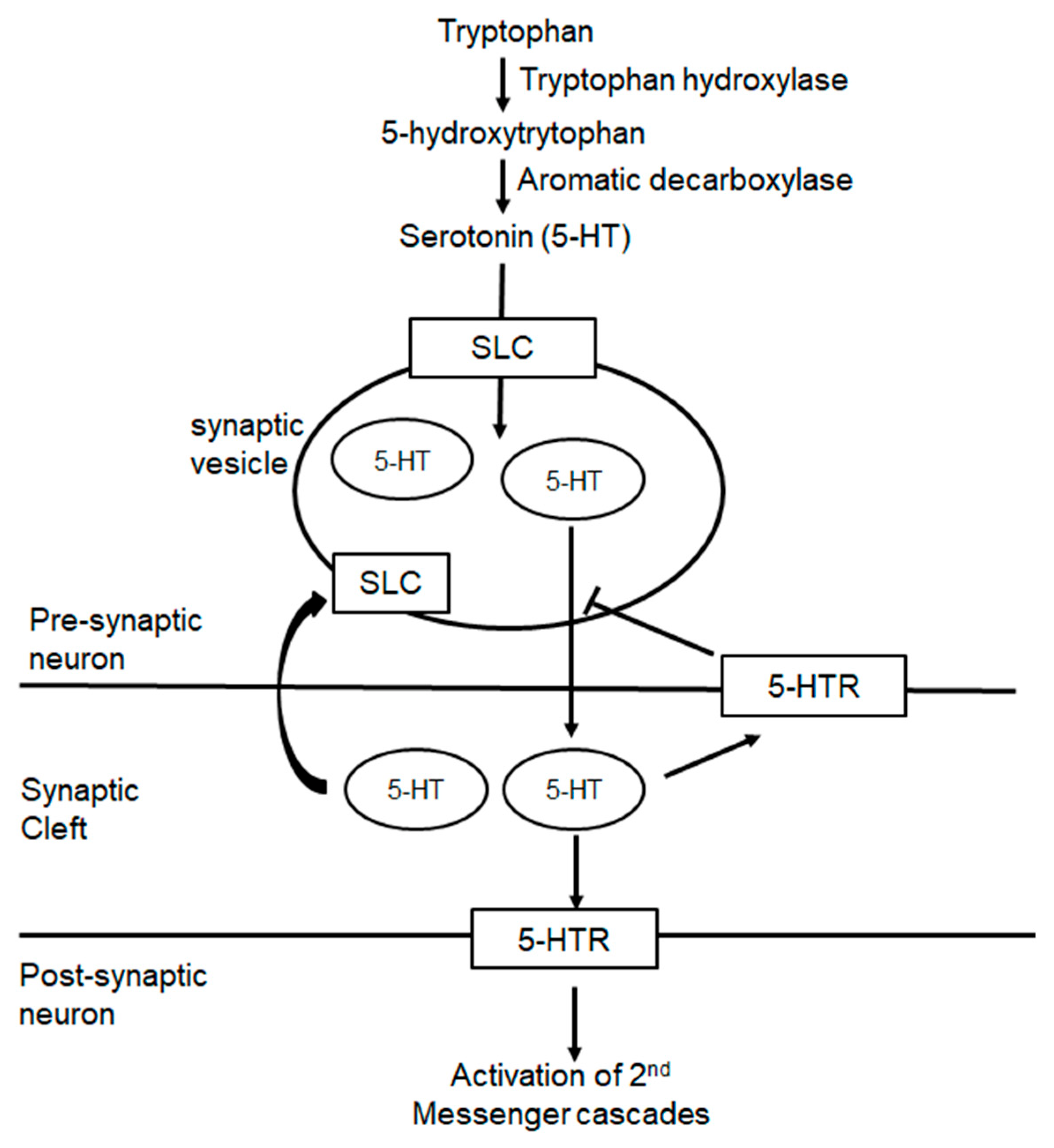 2390px x 2604px - Biomedicines | Free Full-Text | A Comprehensive Review of the Genetic and  Epigenetic Contributions to the Development of Fibromyalgia