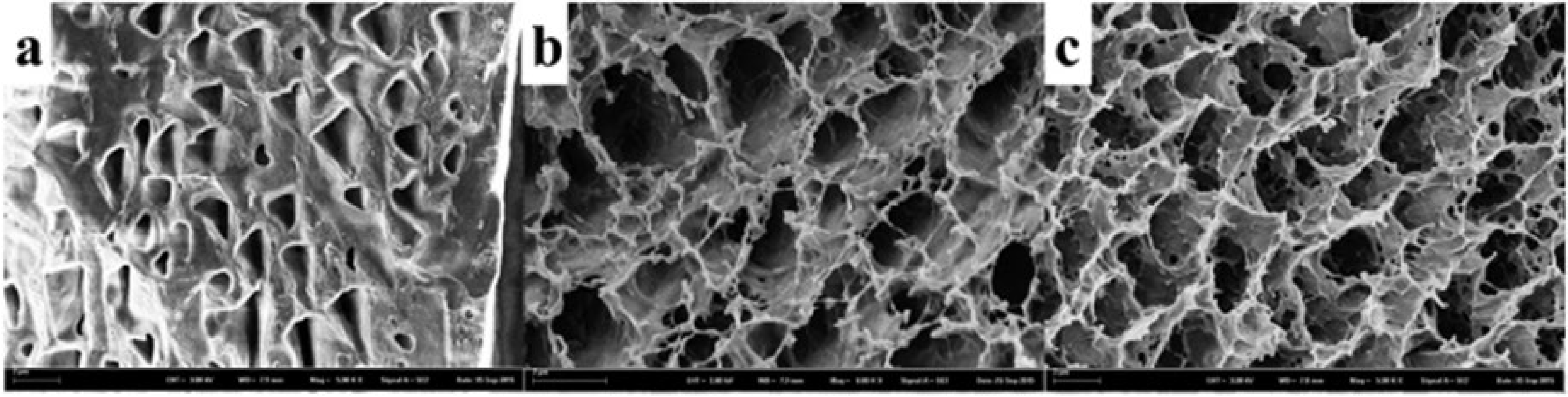 Biomedicines 11 01124 g001