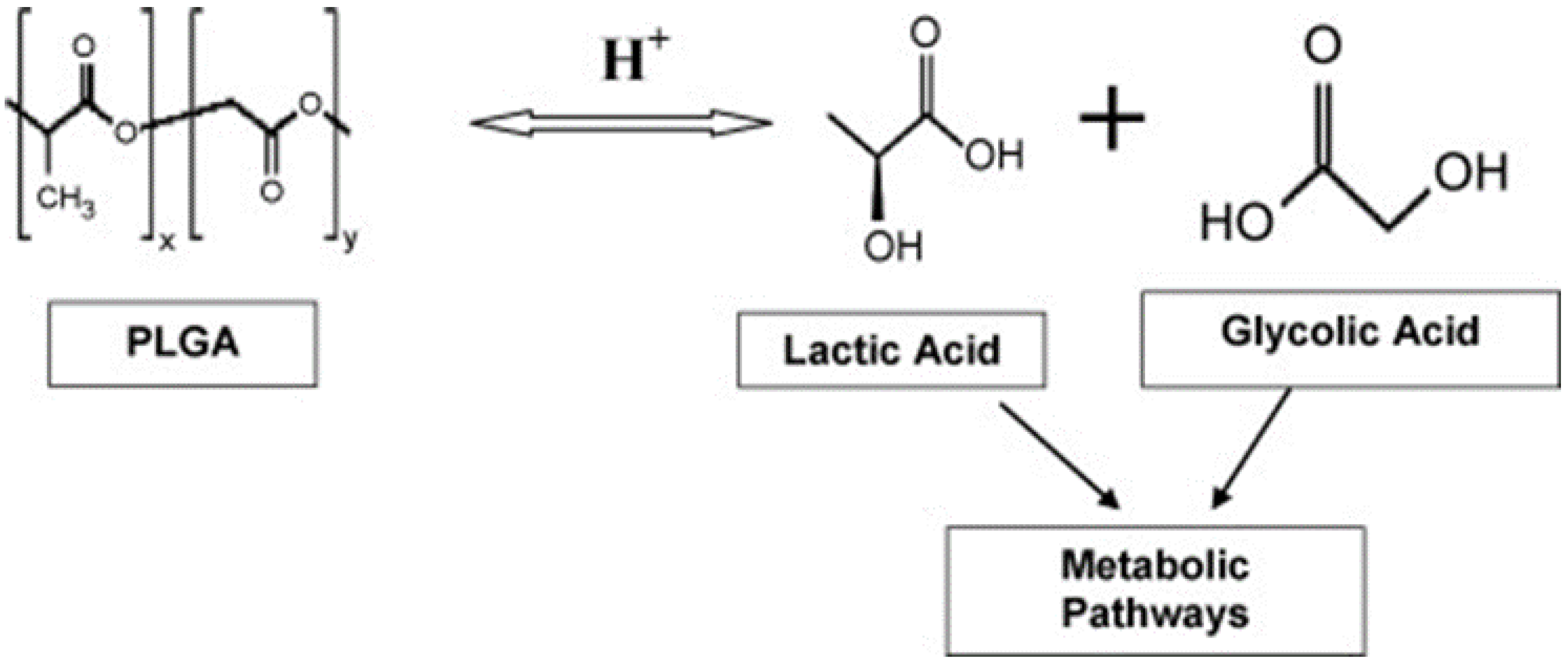 Biomedicines 11 01124 g002