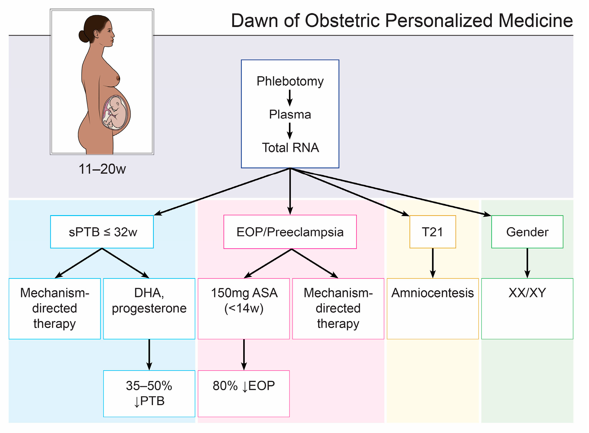 Biomedicines 11 01149 g002