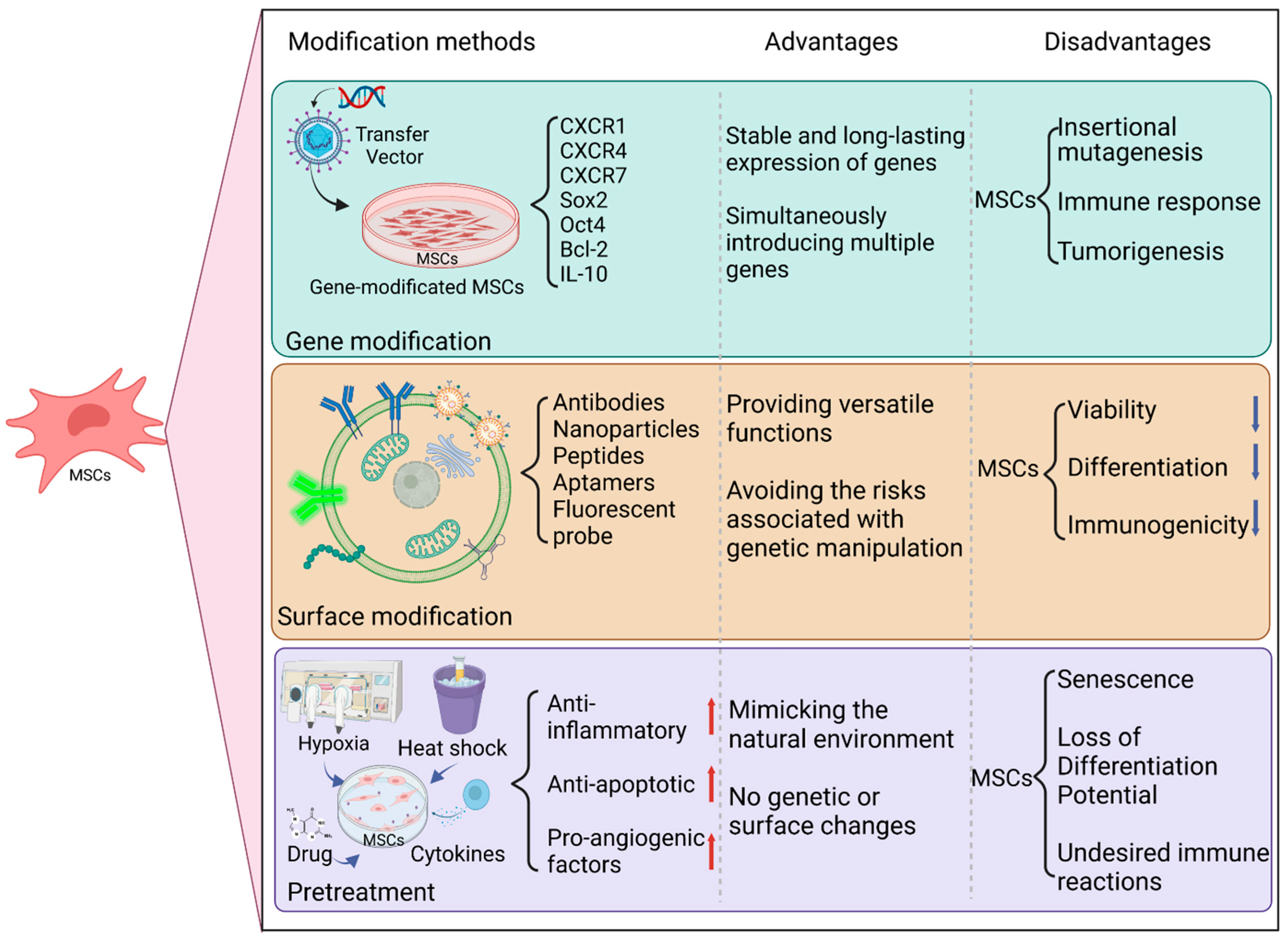 Biomedicines 11 01182 g002 Biomedicines 11 01182 g002