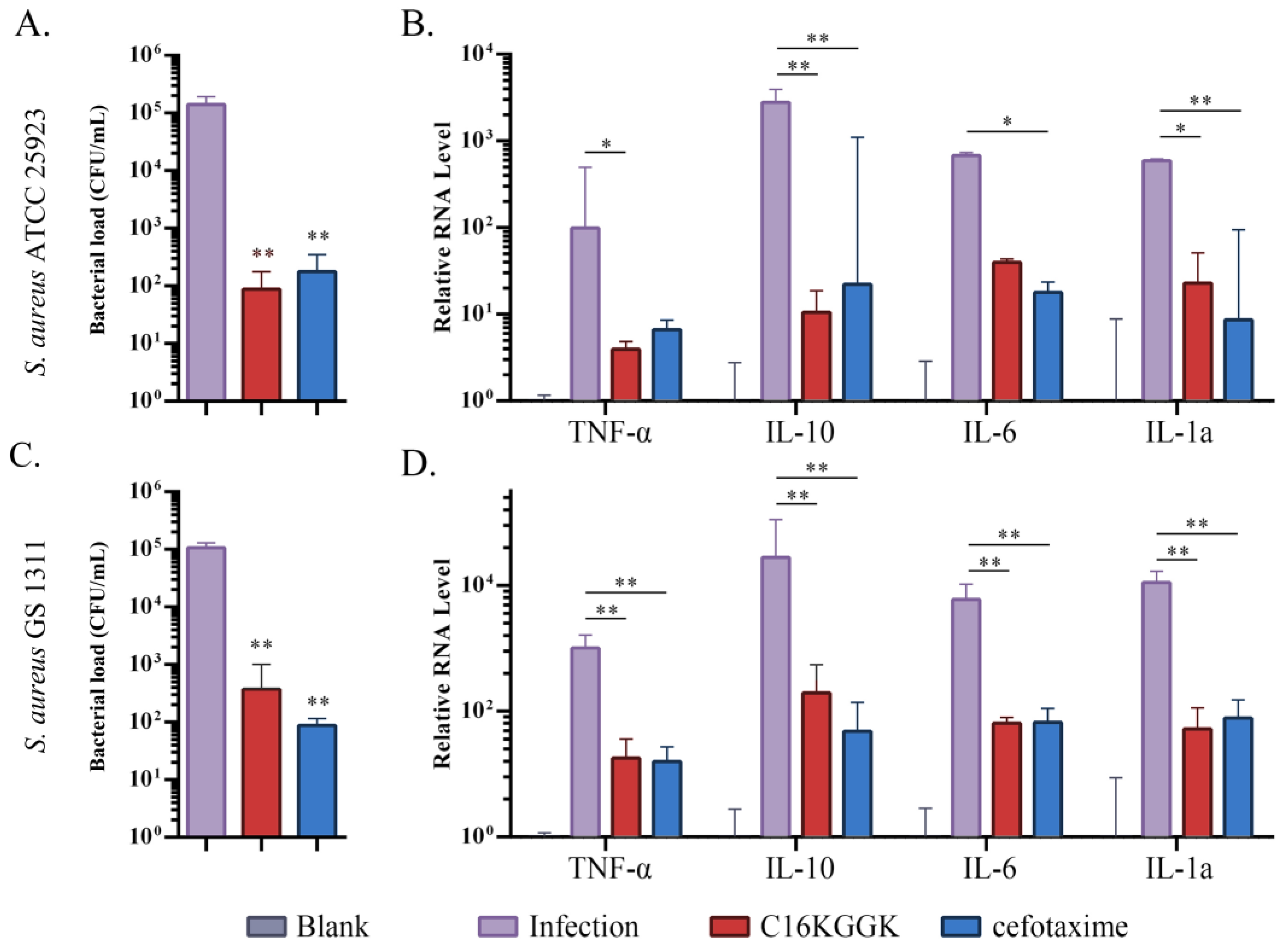 Biomedicines 11 01188 g006 Biomedicines 11 01188 g006