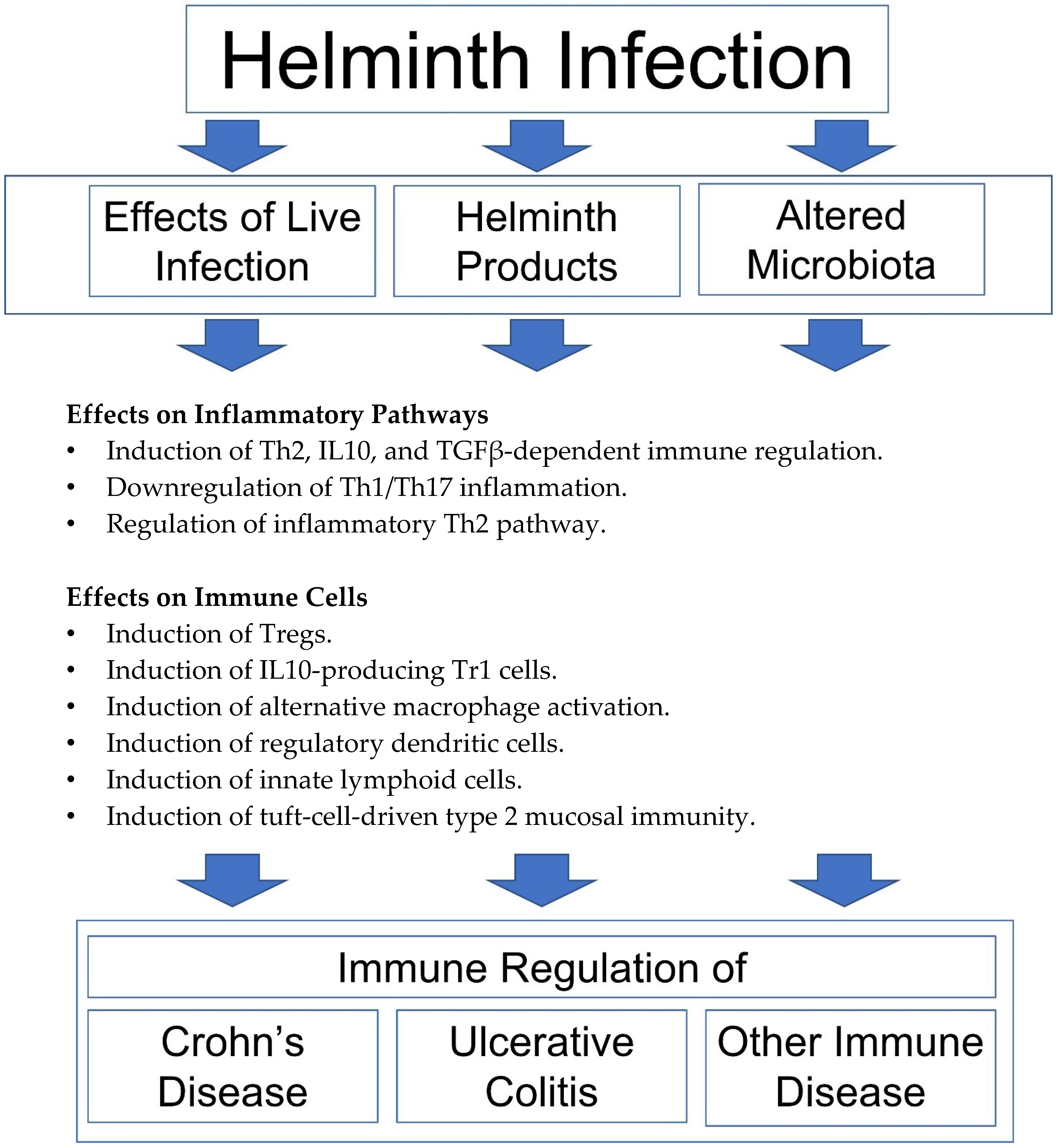 Biomedicines | Free Full-Text | Helminth Lessons in Inflammatory Bowel  Diseases (IBD)