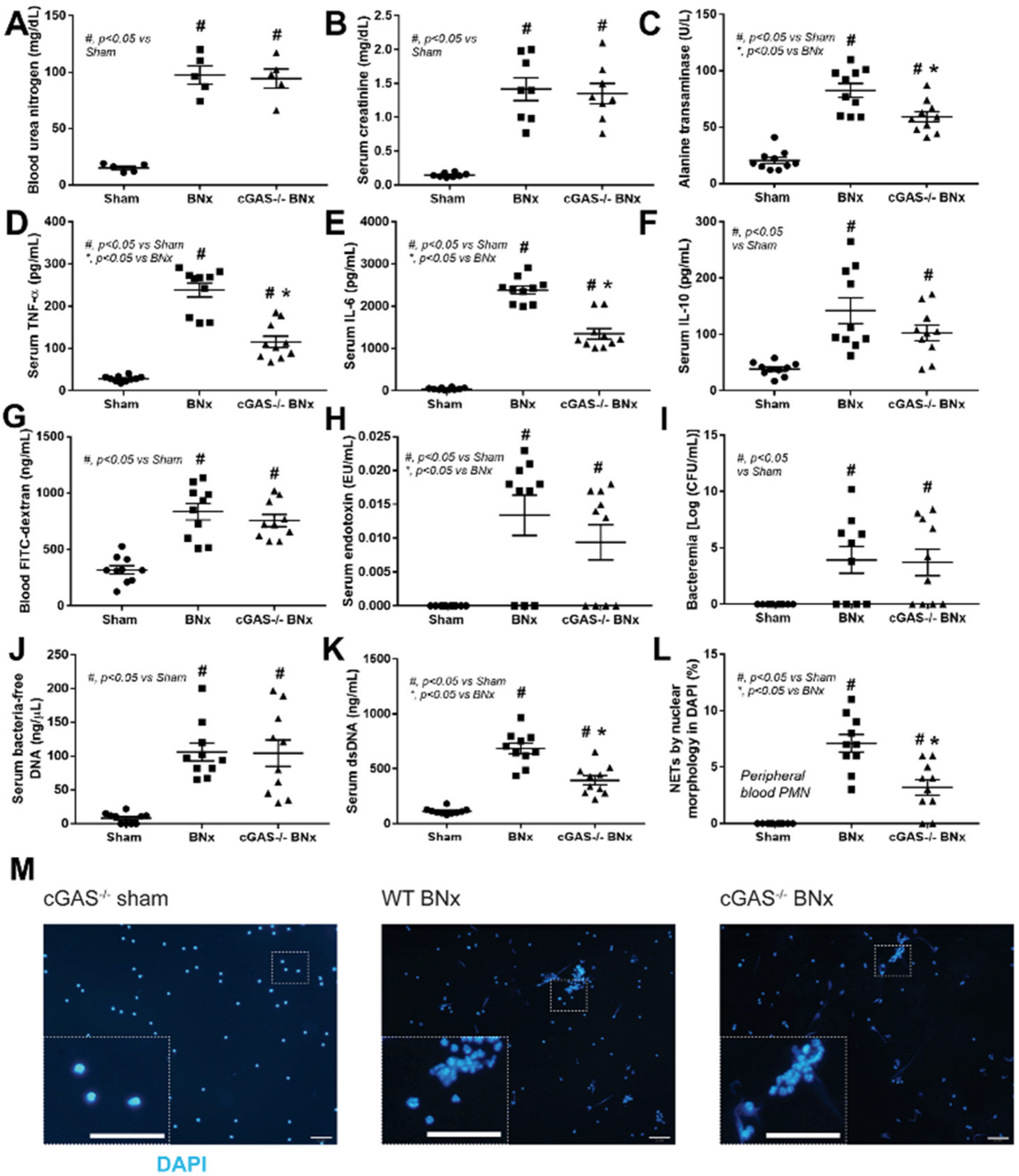Biomedicines 11 01208 g001