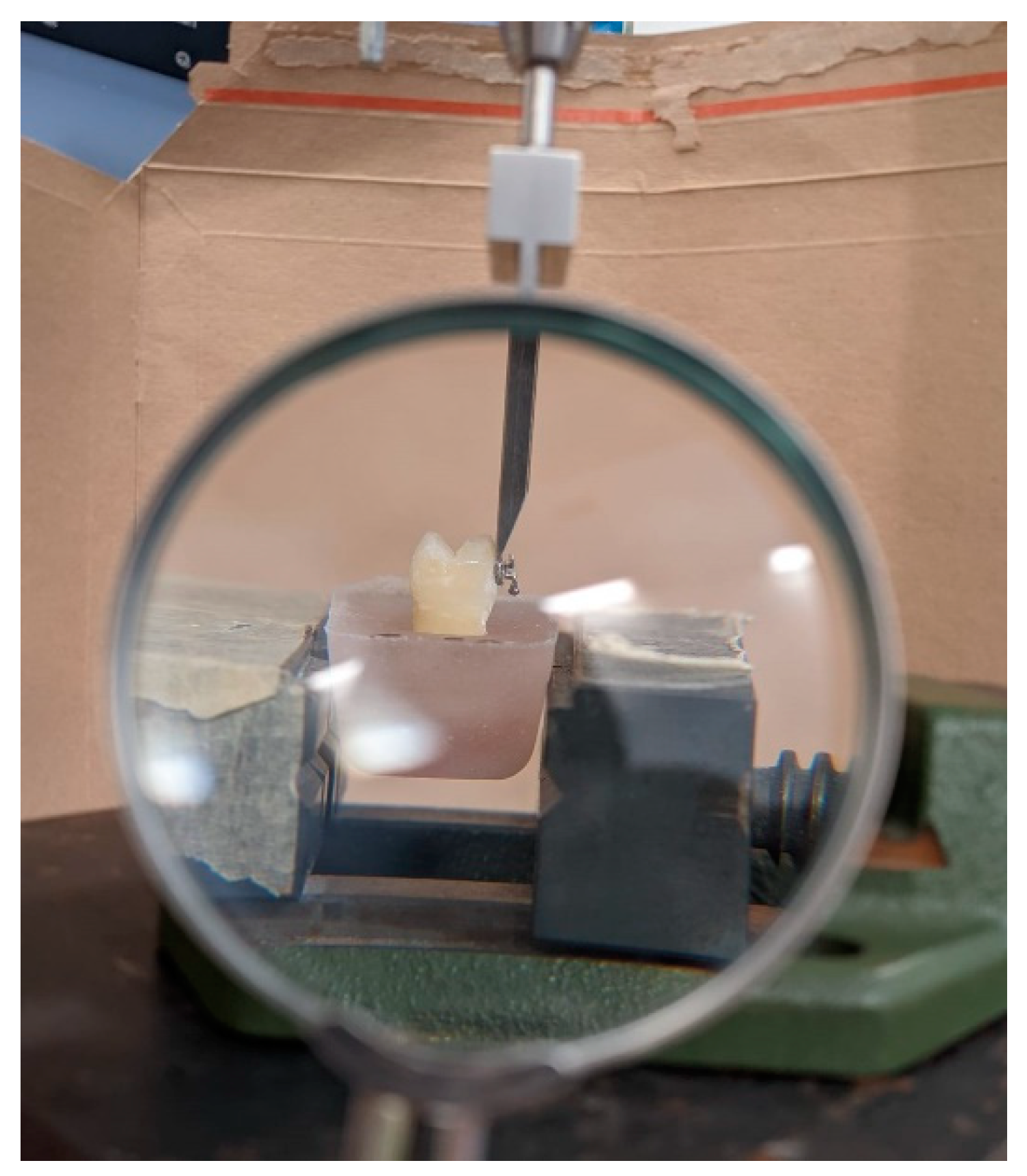 Biomedicines 11 01252 g001 Biomedicines 11 01252 g001