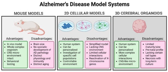 Biomedicines Free Full Text Complexity Of Sex Differences And Their