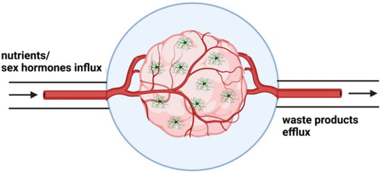 Biomedicines Free Full Text Complexity Of Sex Differences And Their Impact On Alzheimers 4118