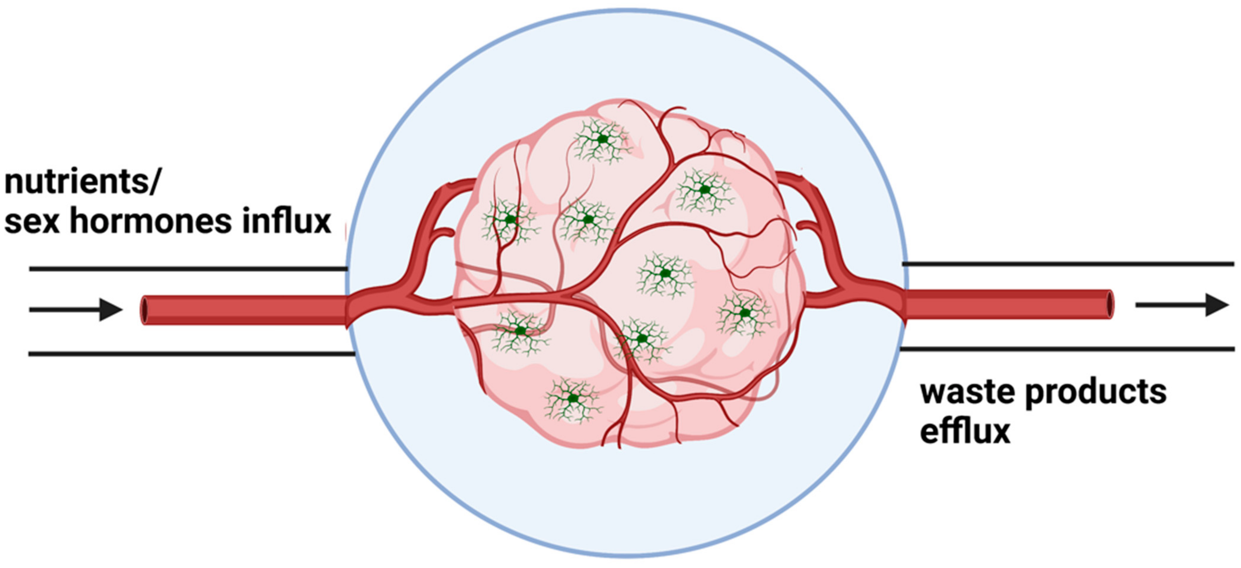 Biomedicines, Free Full-Text