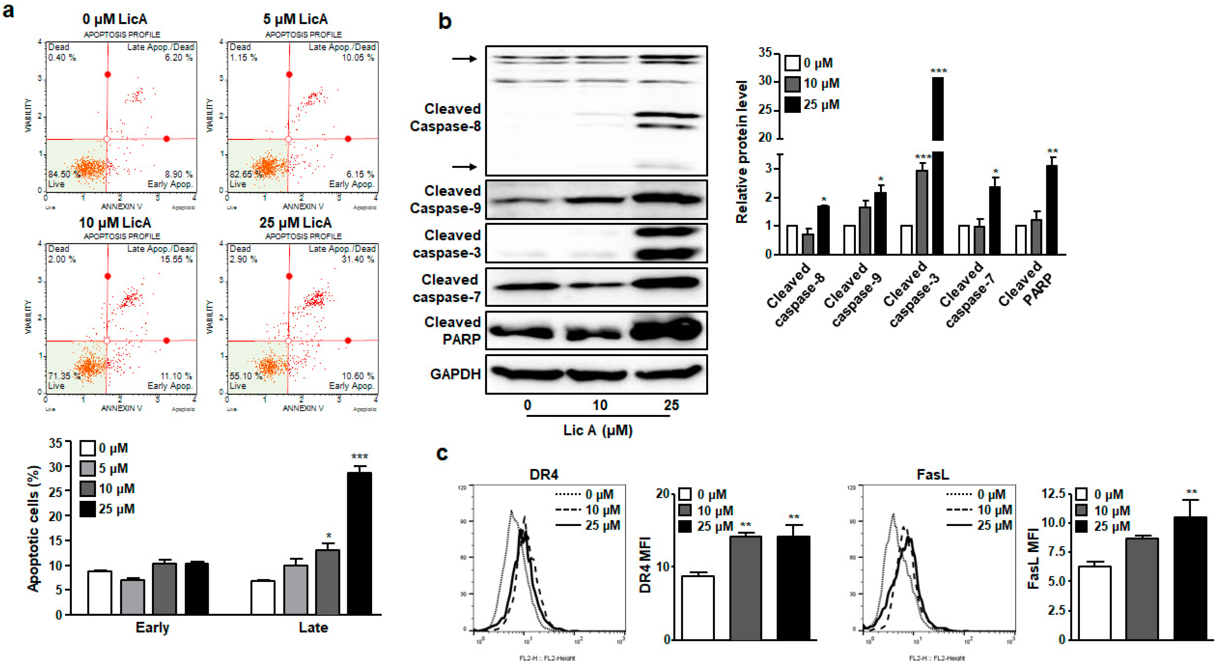 Biomedicines 11 01264 g002