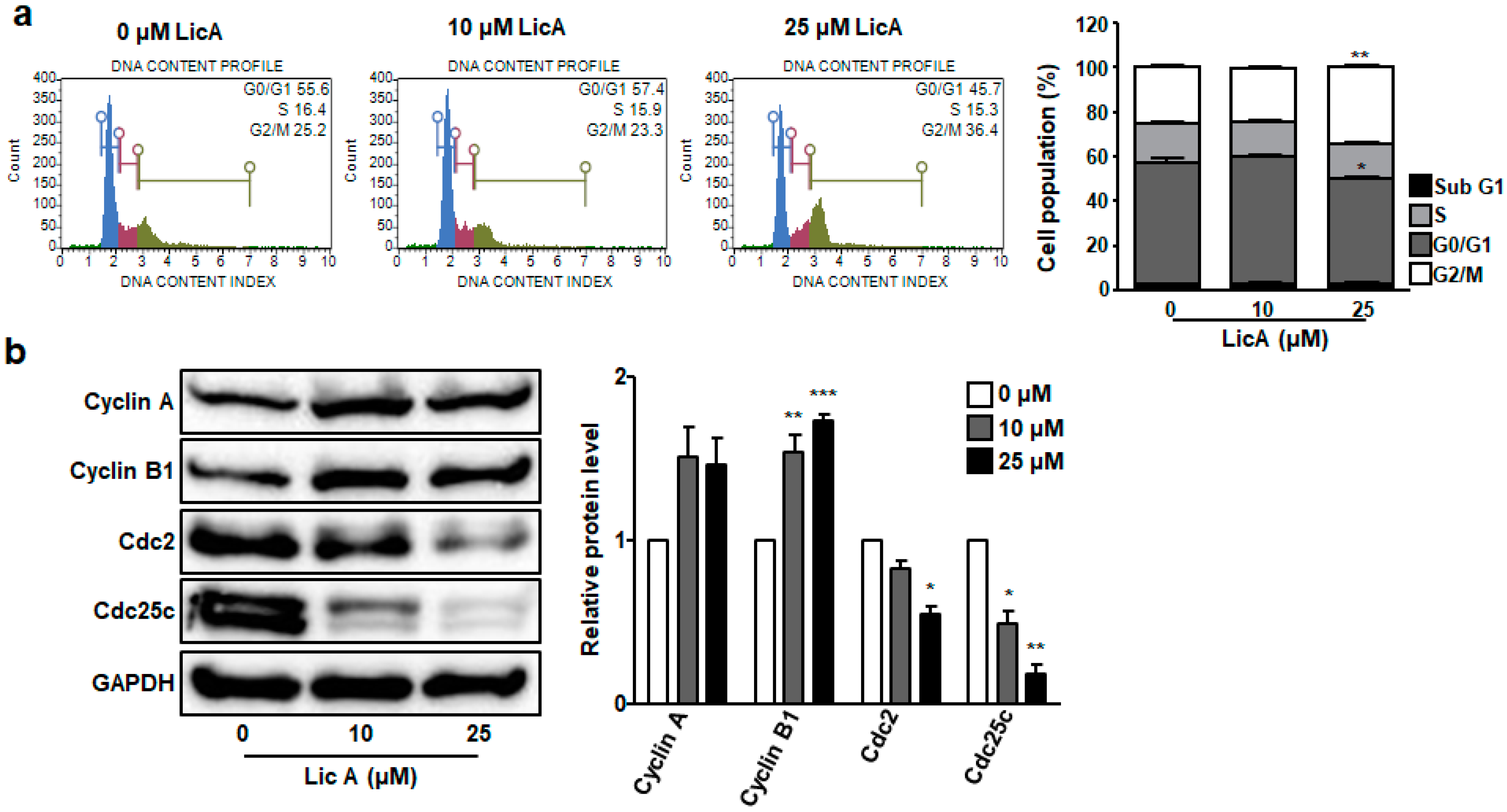 Biomedicines 11 01264 g005