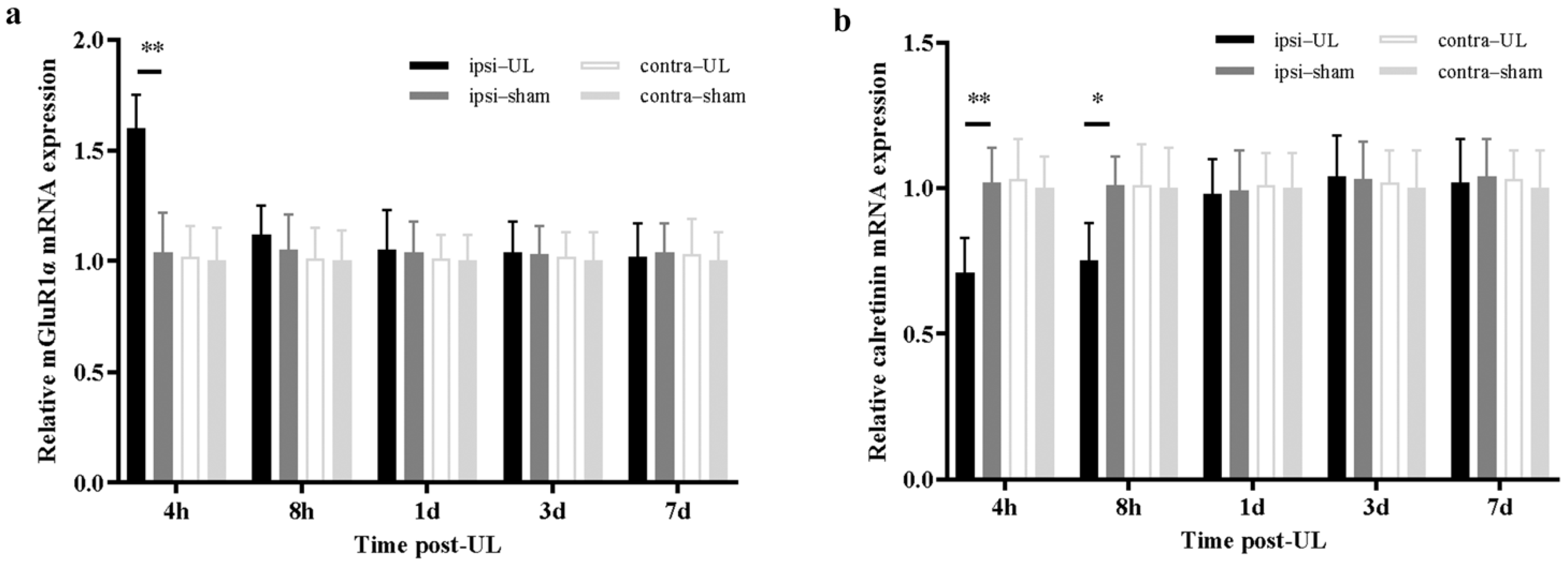 Biomedicines 11 01298 g002