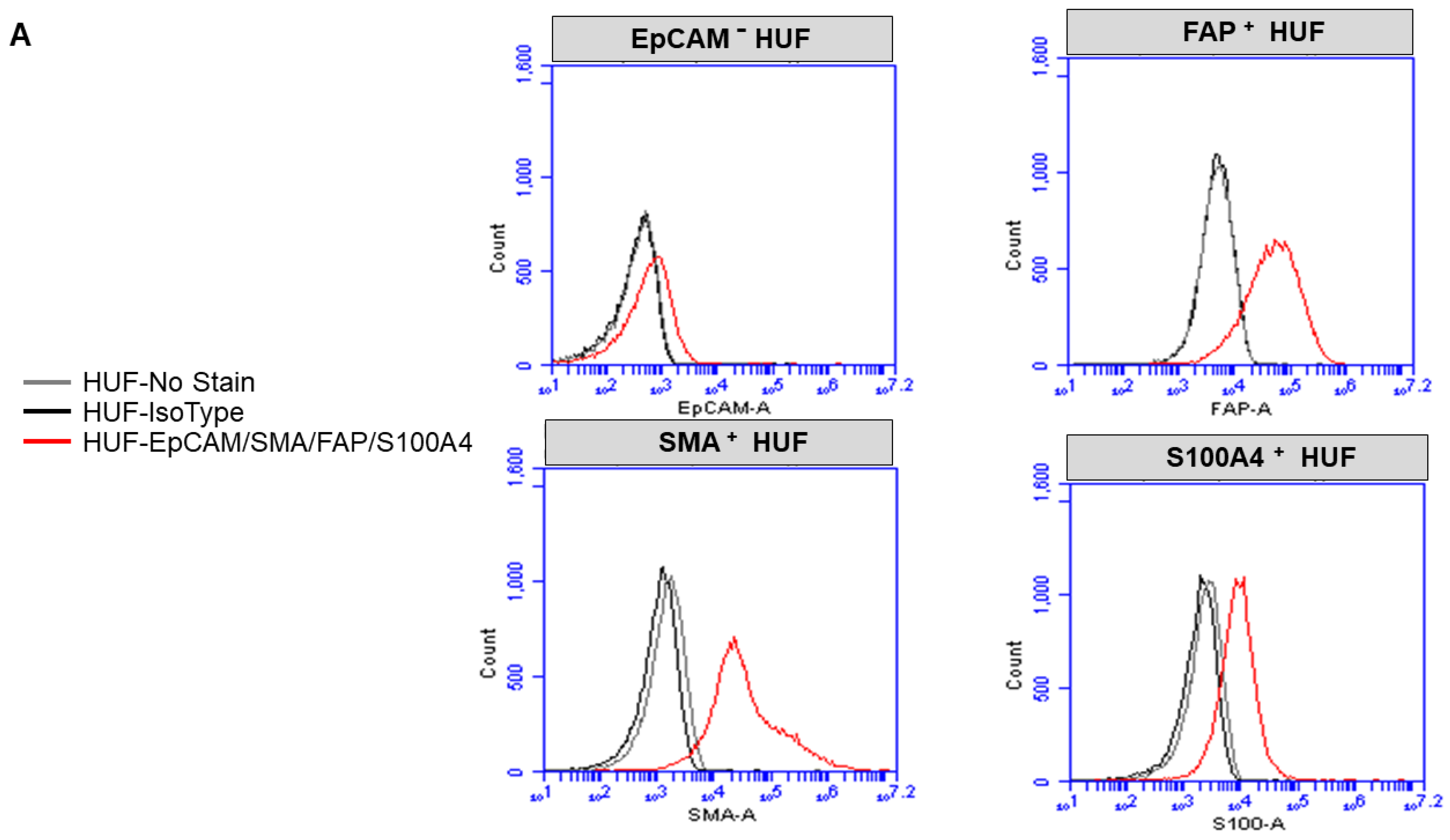 Biomedicines 11 01326 g001a Biomedicines 11 01326 g001a