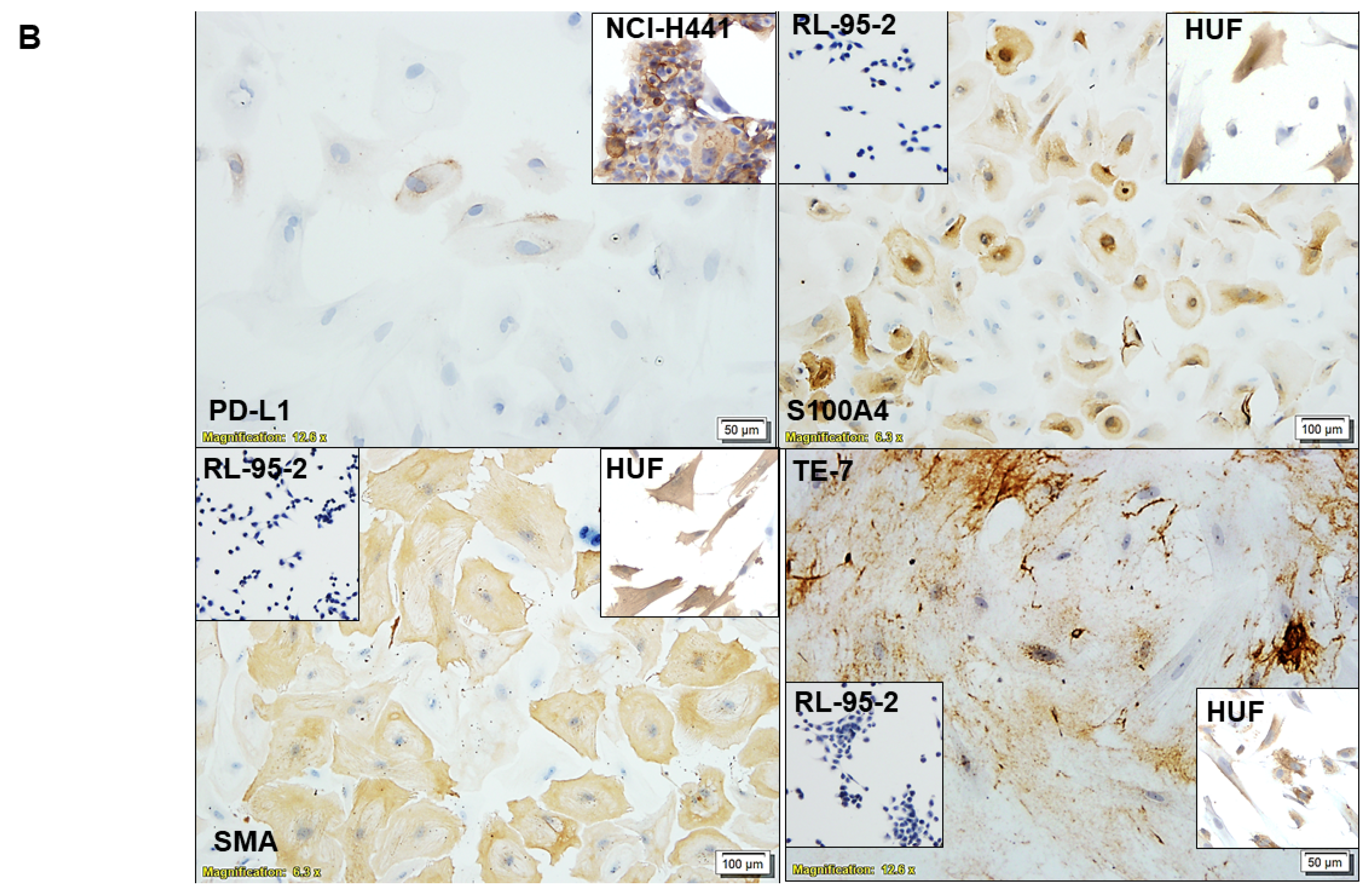 Biomedicines 11 01326 g002b Biomedicines 11 01326 g002b