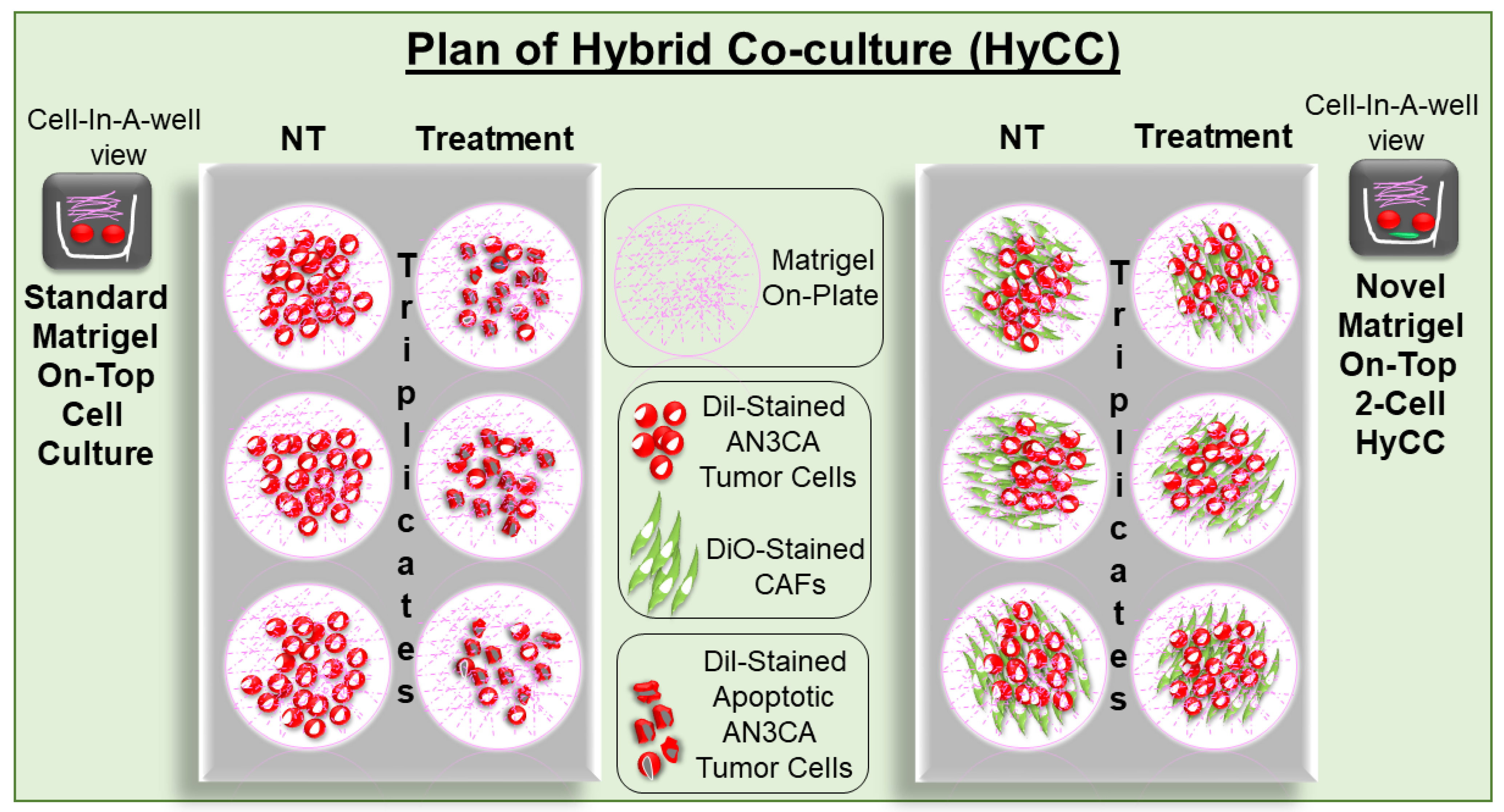 Biomedicines 11 01326 g003 Biomedicines 11 01326 g003