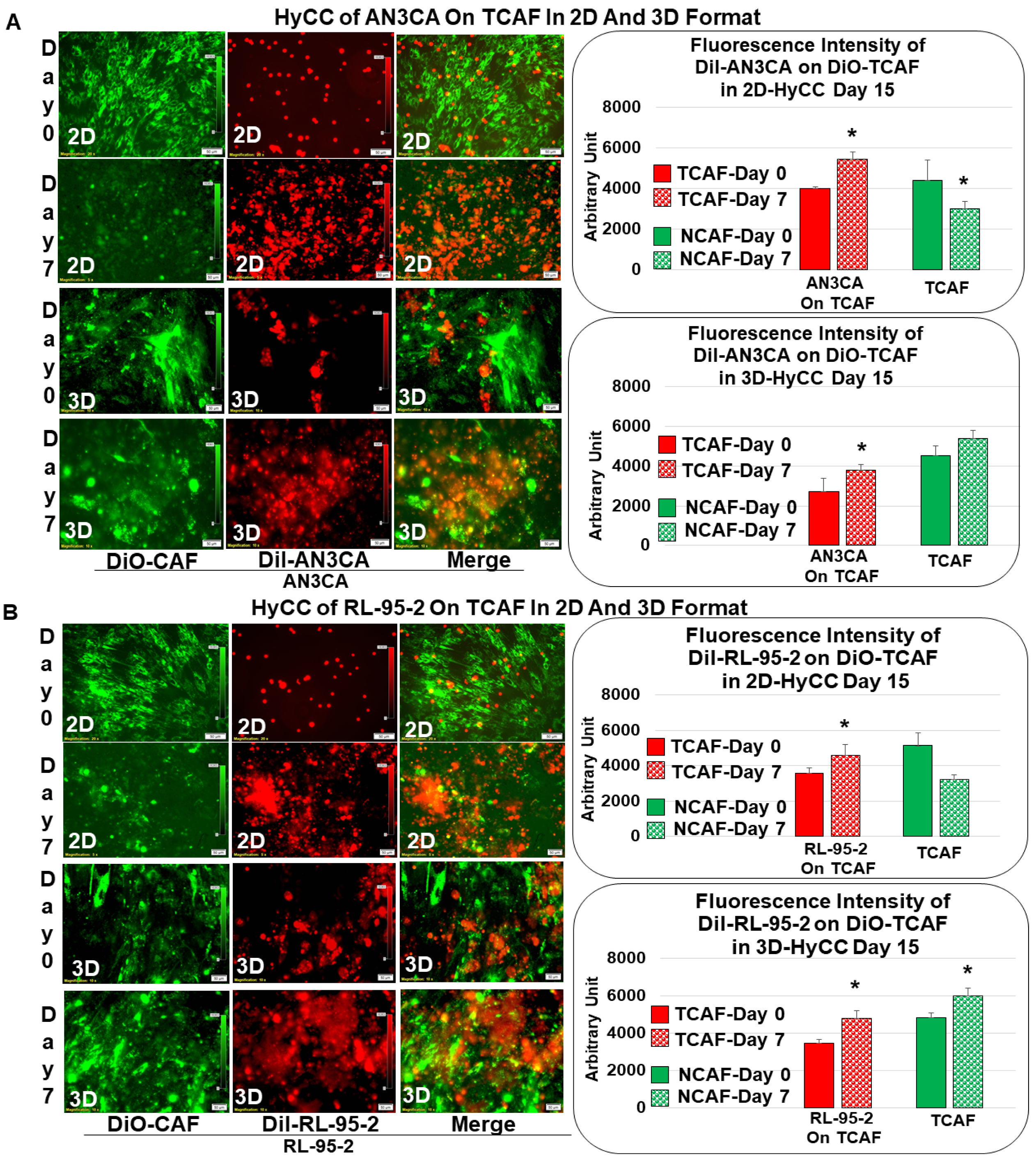 Biomedicines 11 01326 g004 Biomedicines 11 01326 g004