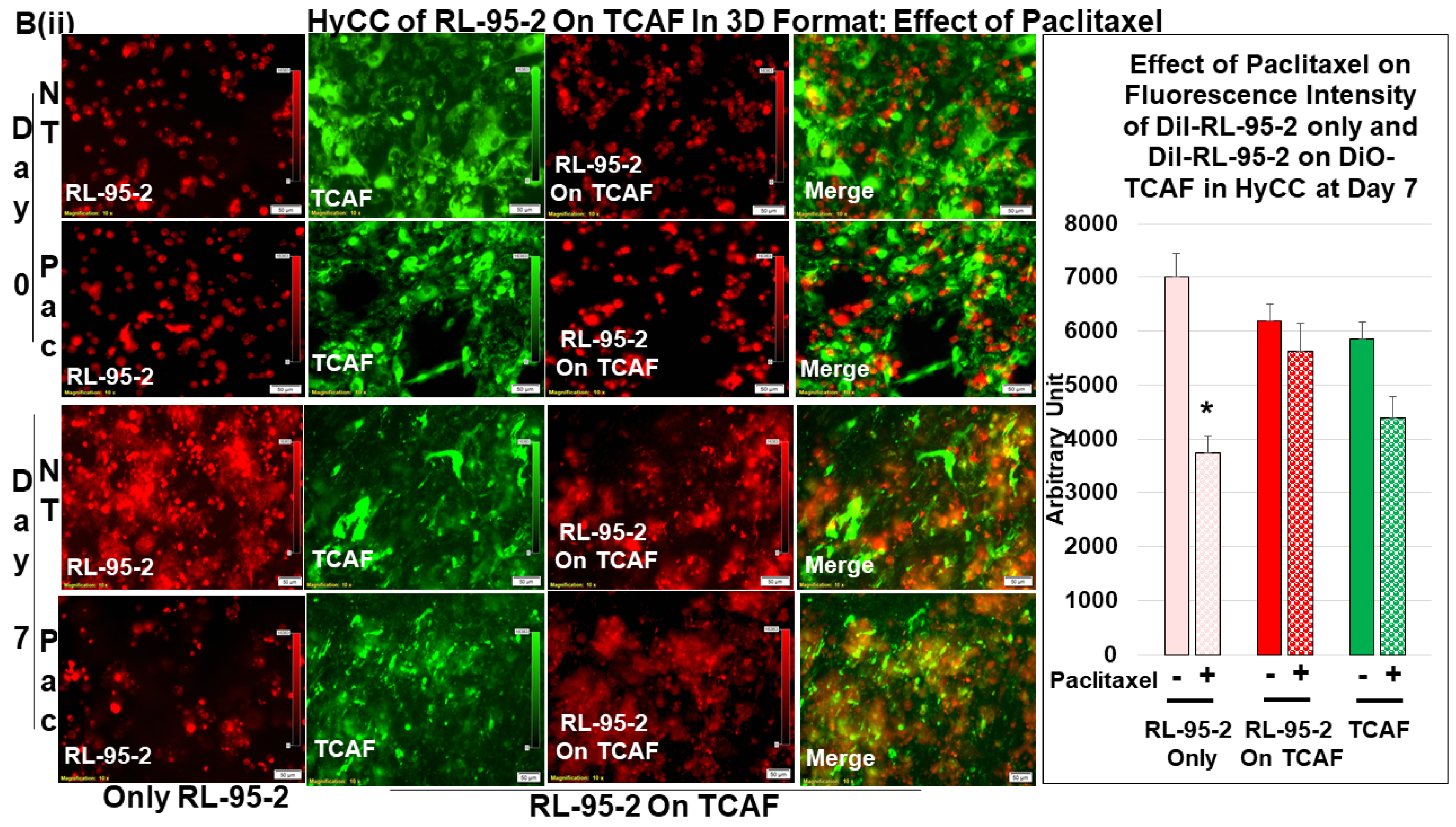 Biomedicines 11 01326 g005b Biomedicines 11 01326 g005b