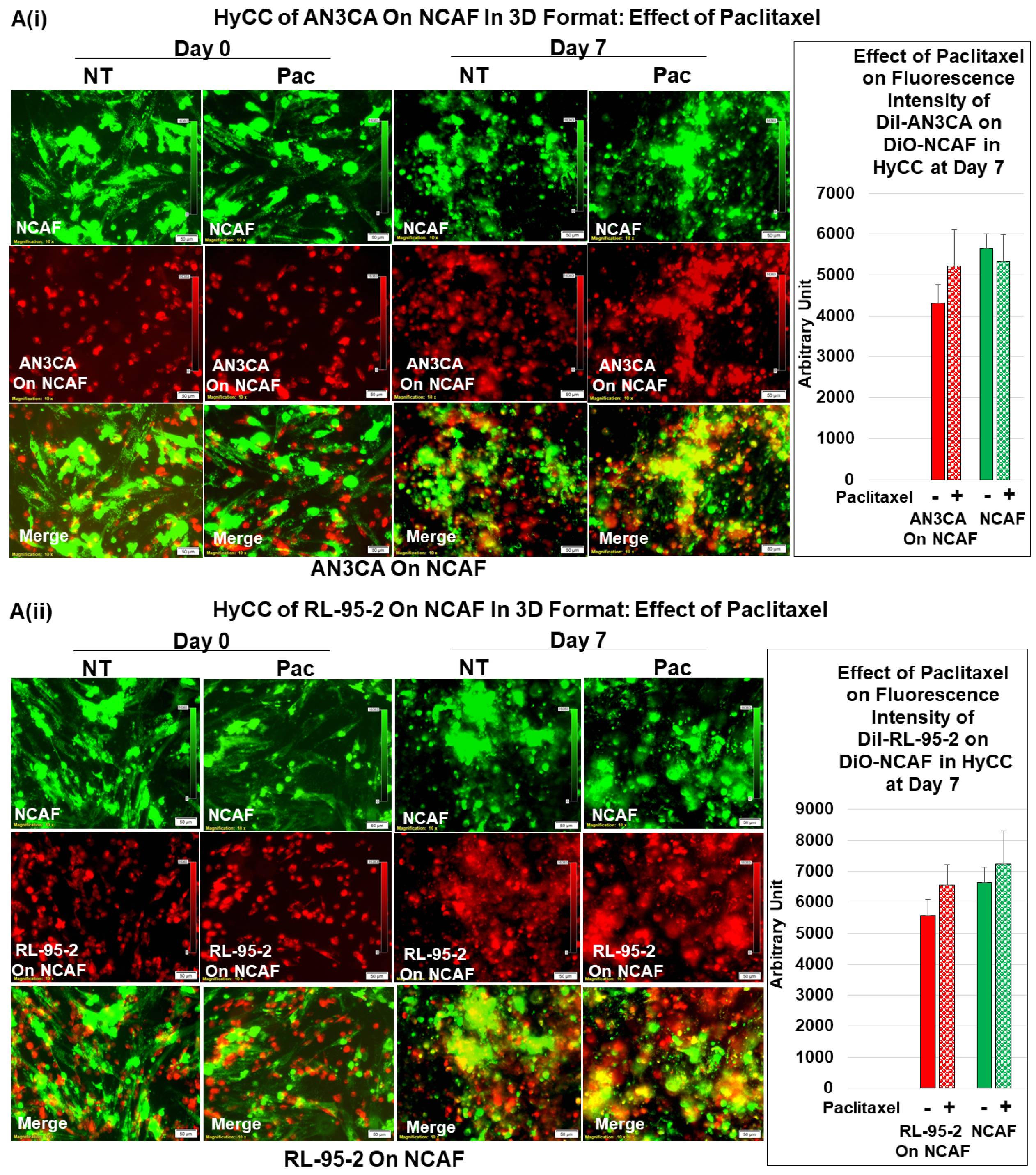 Biomedicines 11 01326 g006 Biomedicines 11 01326 g006