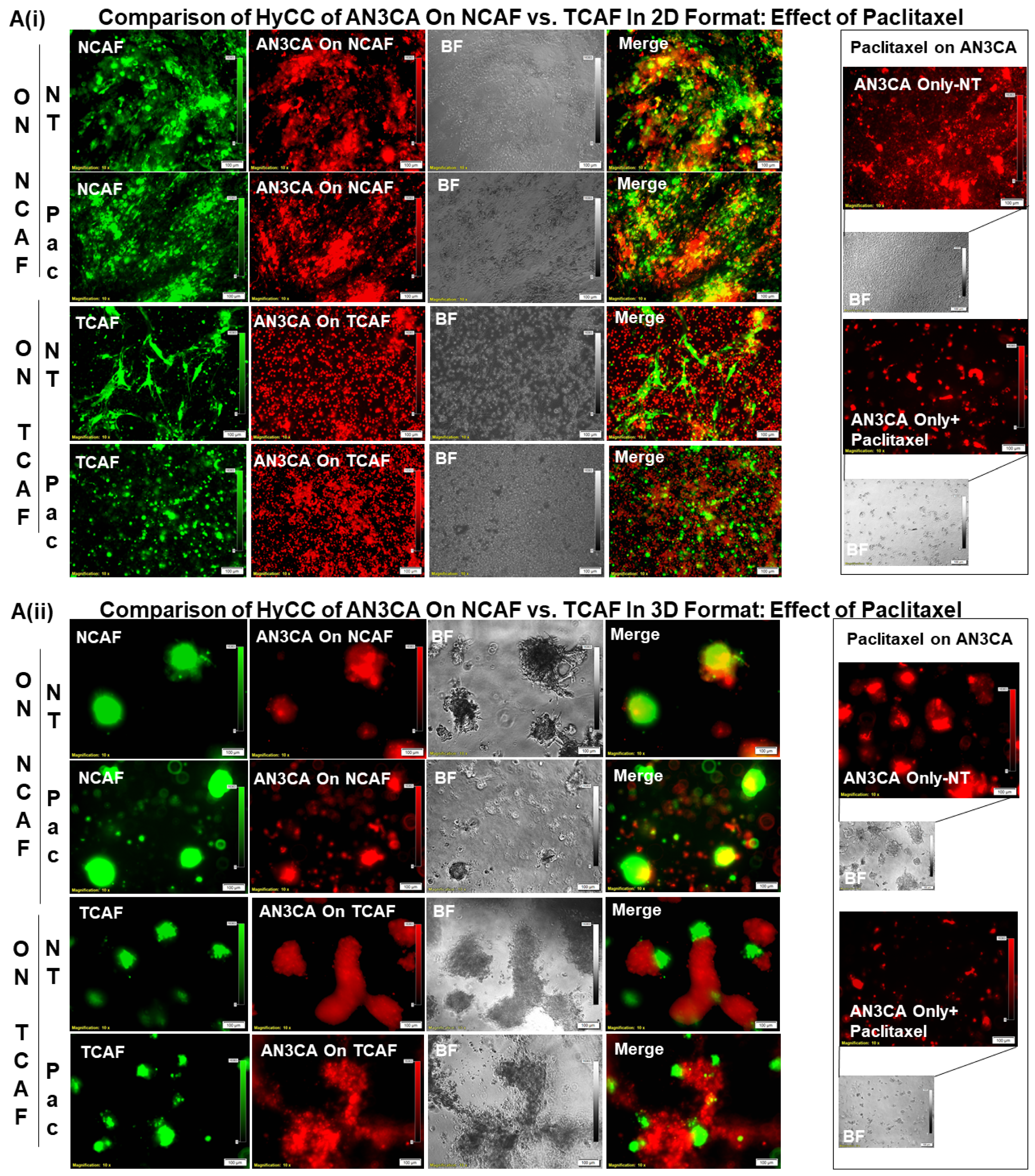 Biomedicines 11 01326 g007 Biomedicines 11 01326 g007