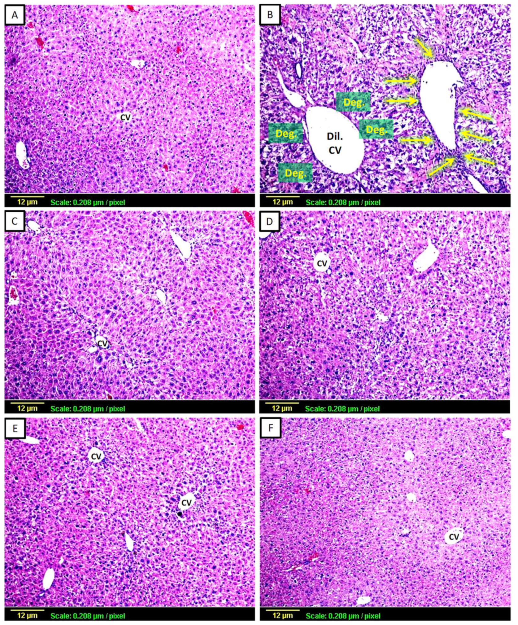 Biomedicines 11 01342 g001 Biomedicines 11 01342 g001