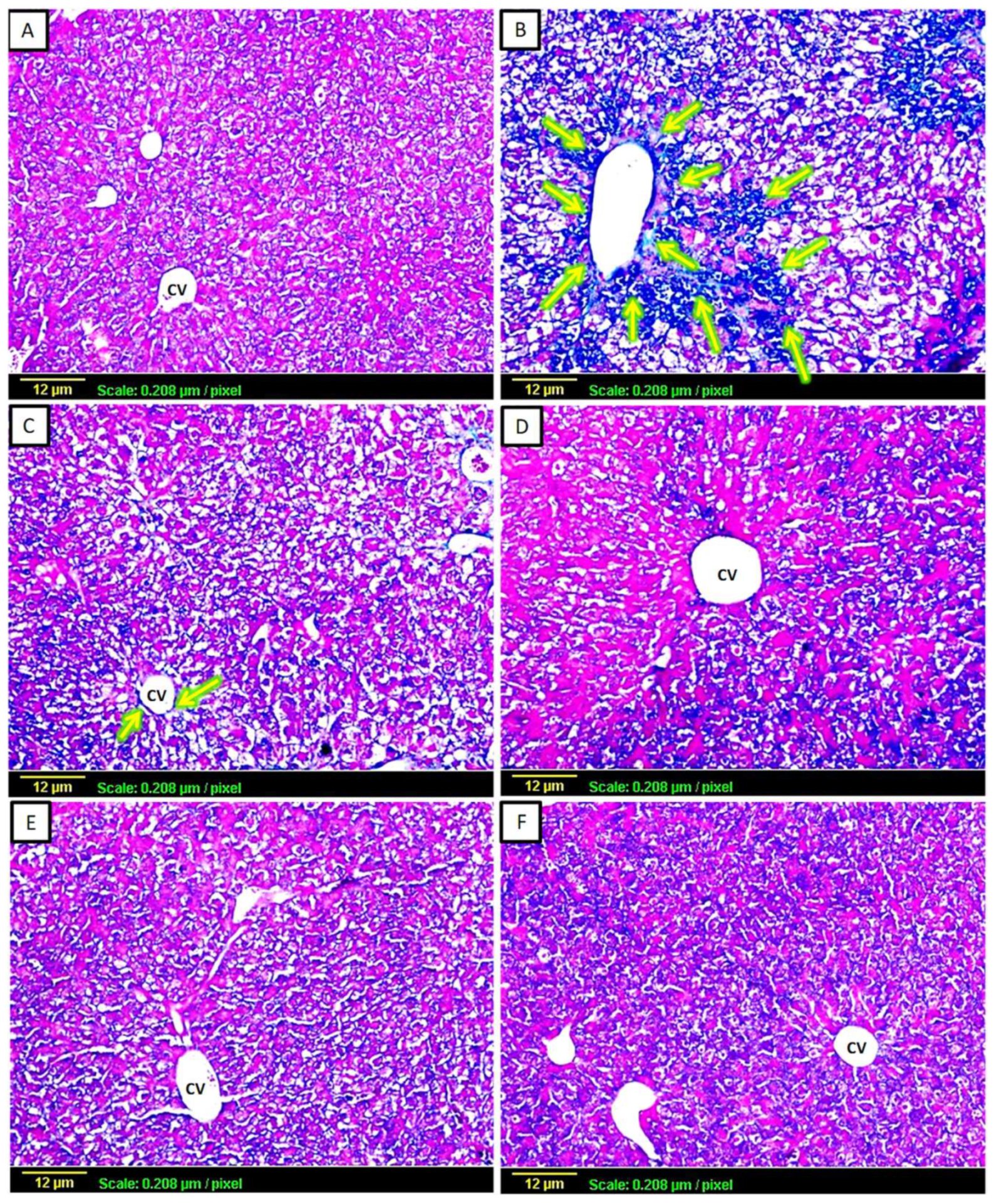Biomedicines 11 01342 g002 Biomedicines 11 01342 g002