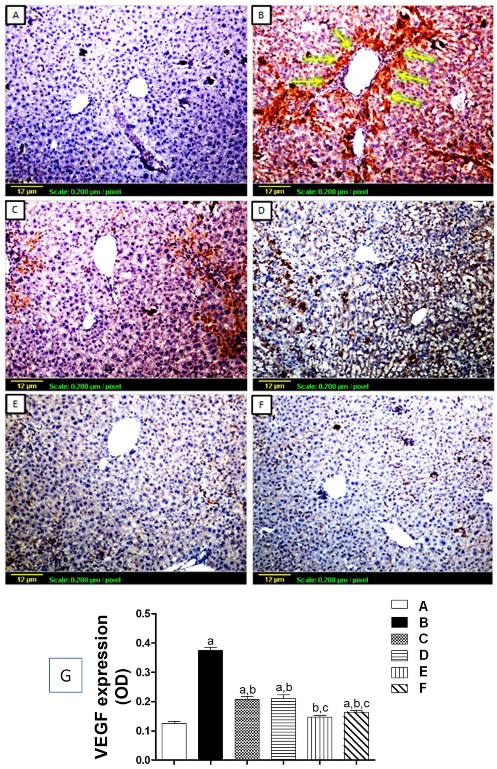 Biomedicines 11 01342 g005 Biomedicines 11 01342 g005